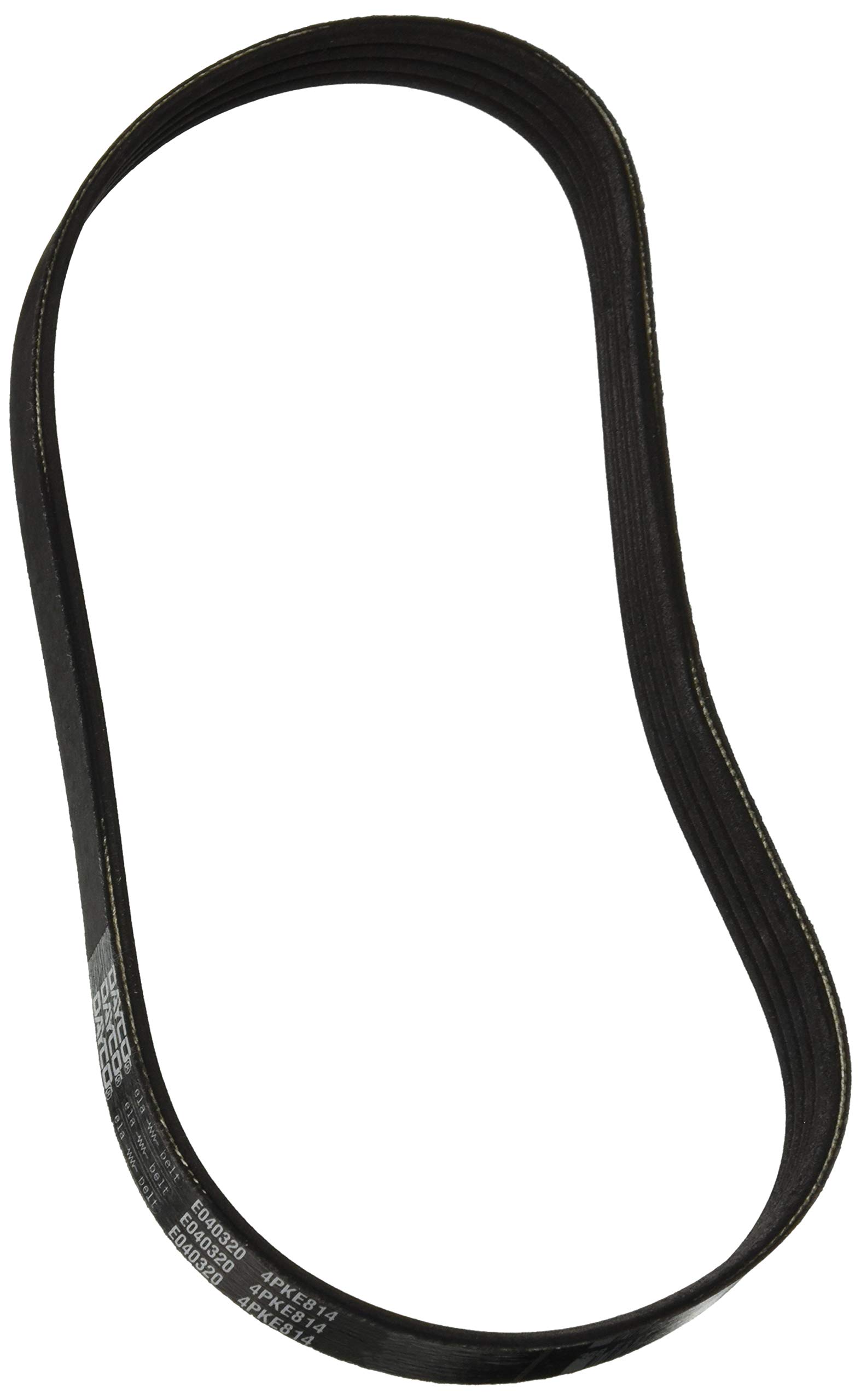 Correa serpentina Dayco E040320 POLY RIB ELA recambio de transmisión estriada para coche 2