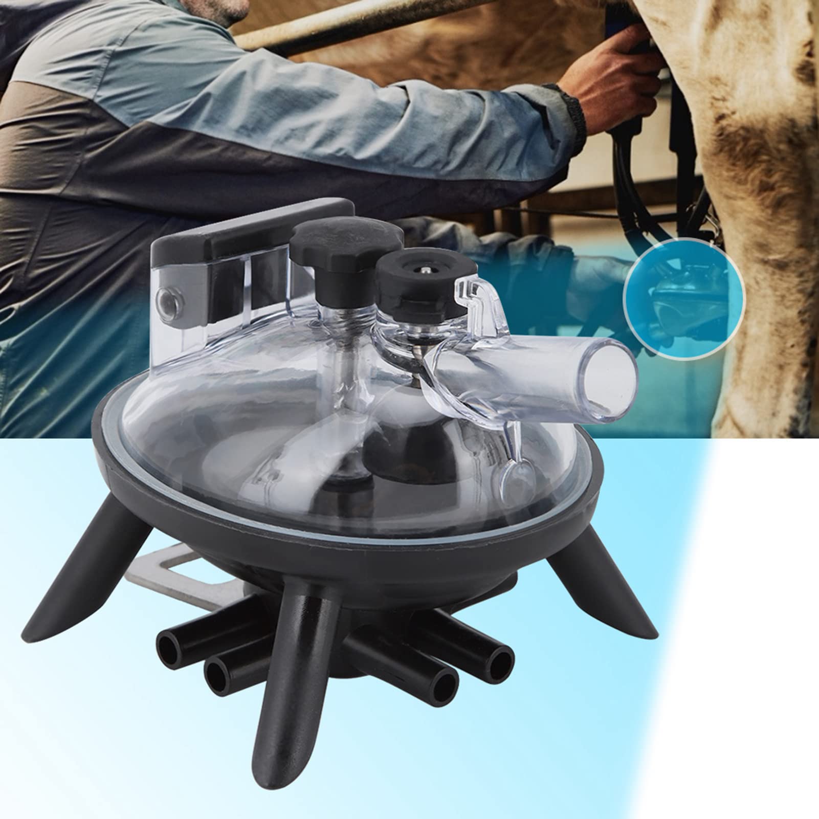 Hztyyier Cluster per Artigli da Latte da 240 CC per Accessori di Ricambio per Utensili Agricoli in Acciaio Inossidabile per Mungitura di Pecore di Mucca Poultry Farming Supplies