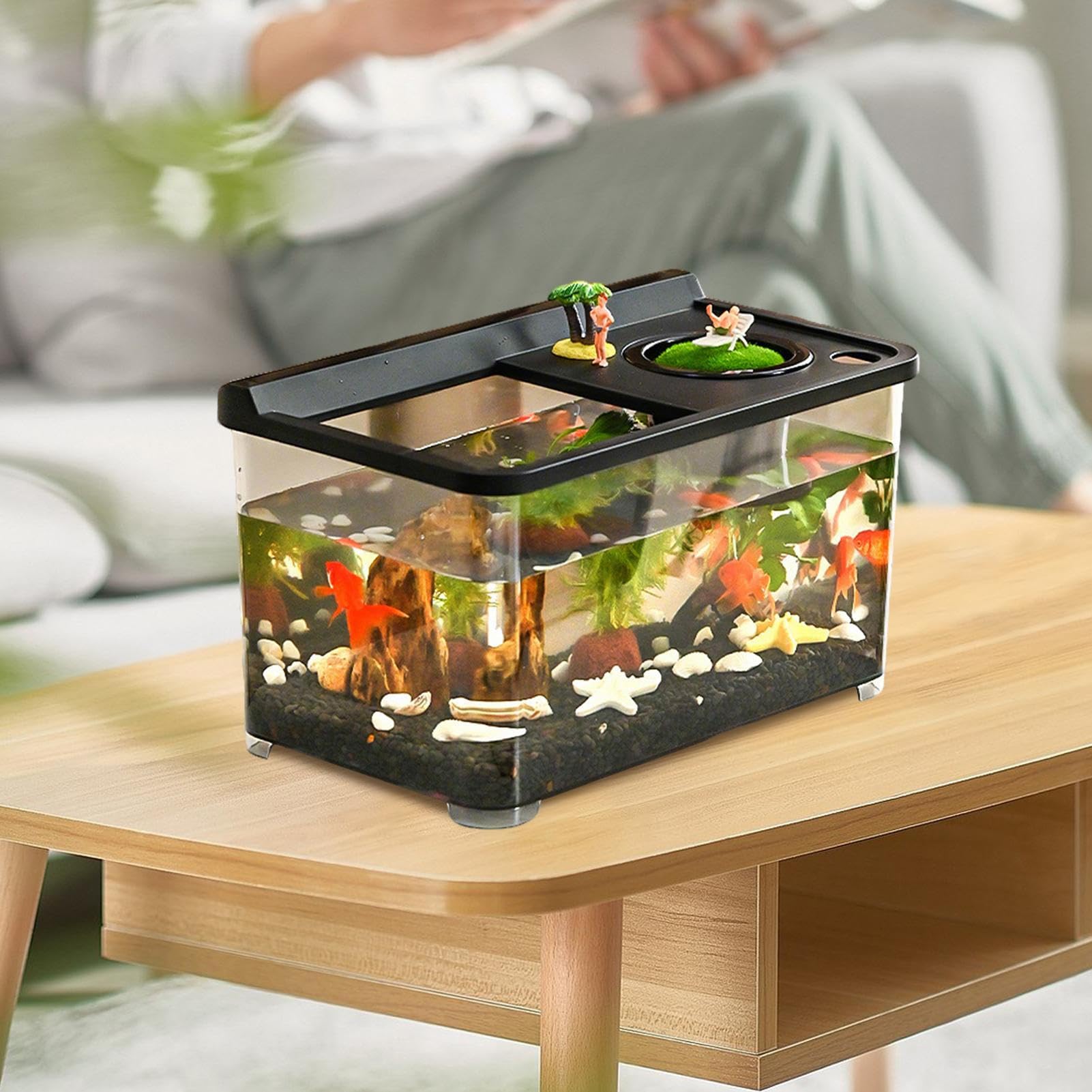 Acquario Con 3 Colorate Vasca Decorativa Per Pesci | Acquario Idroponico Ideale Per Tavolo Casa Ufficio Ingresso Camera Da