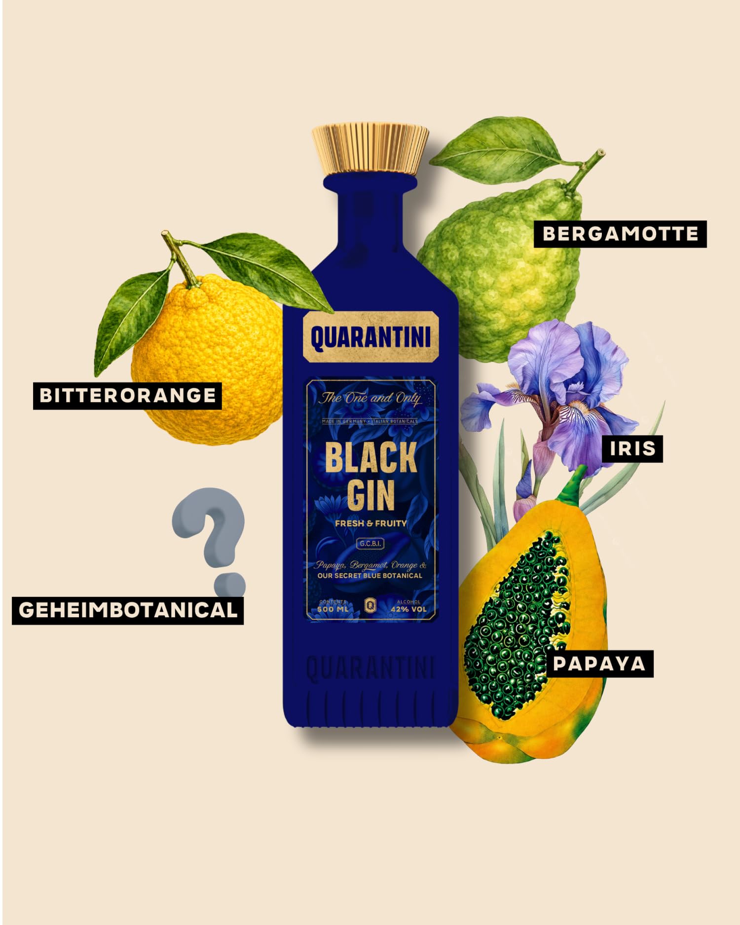 Quarantini Black Gin (500 ml) | Schwarzer Premium Gin 42% Vol. mit hochwertigen, fruchtigen Botanicals aus Papaya & Bergamotte | Ideal als Geschenk