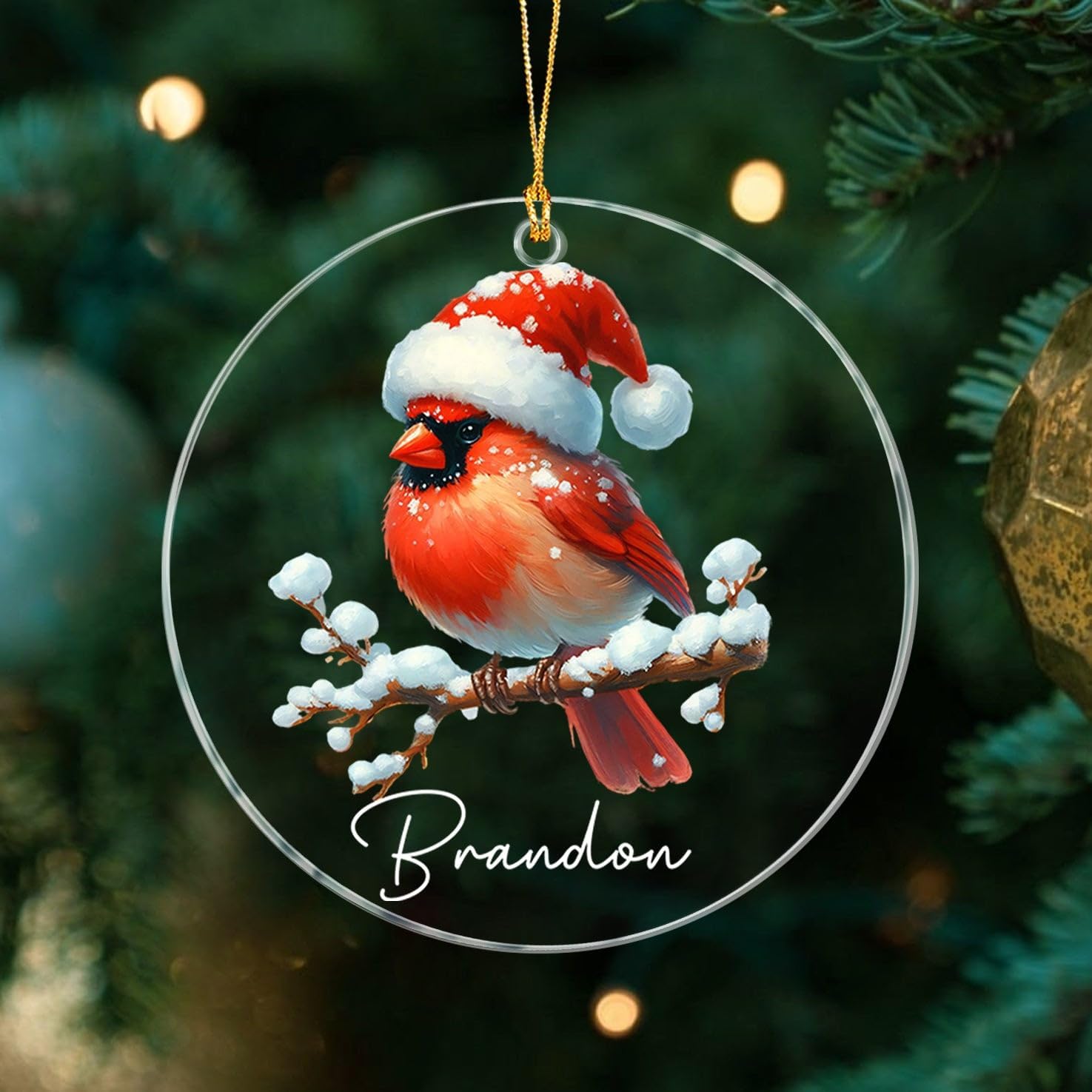 Personalized Cardinal Bird Ornament, Cardinal Lover Xmas