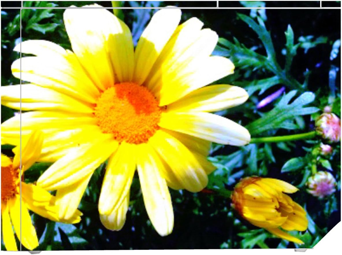 'Disagu Design Skin for Nintendo Wii liegend – Motif Flowers