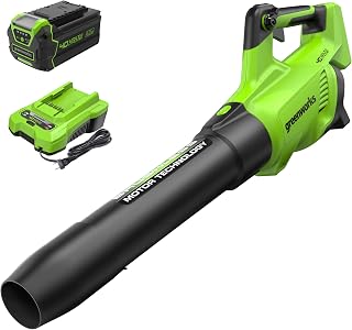 Greenworks 40V Electric Leaf Blower with 4.0 Ah Battery and Charger