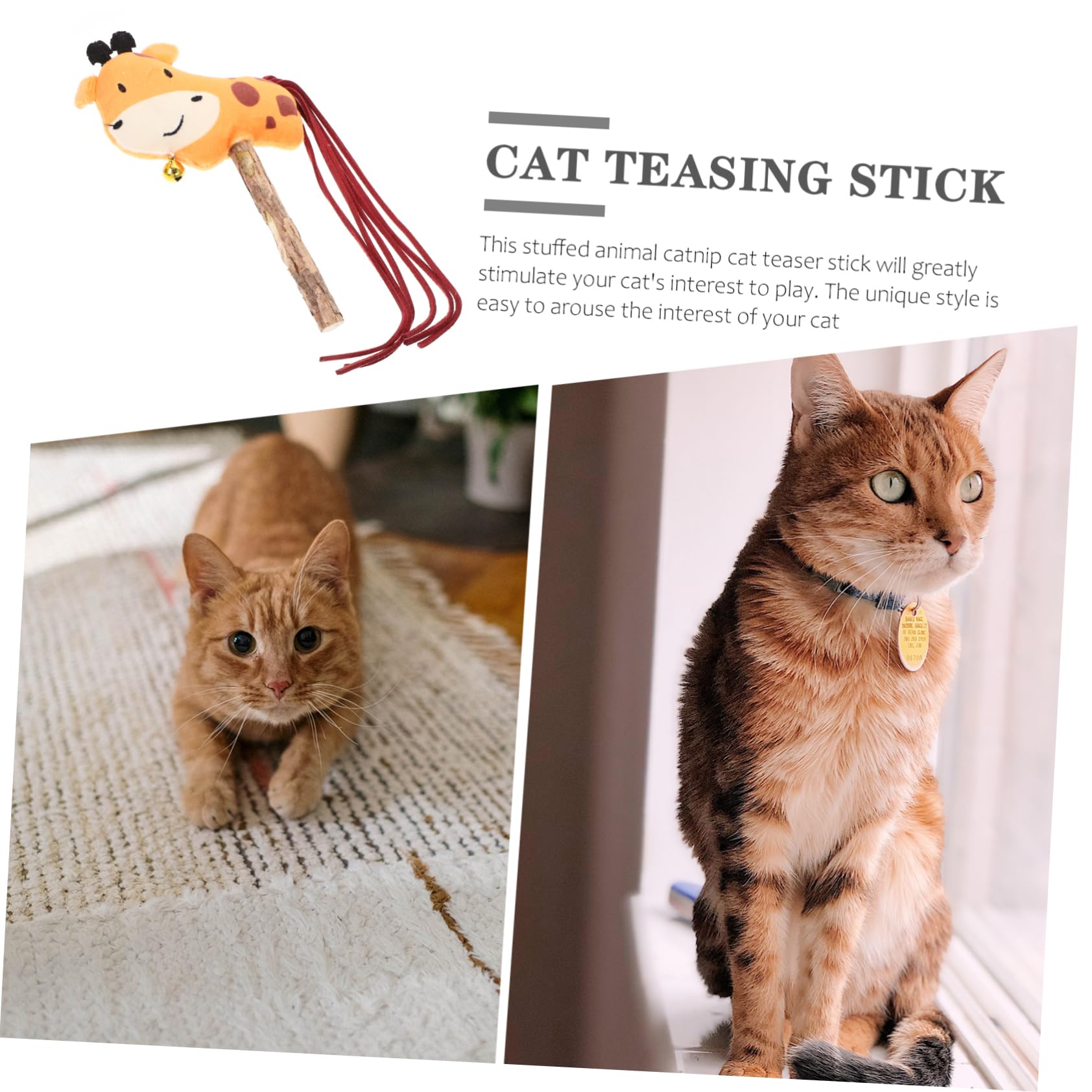 Cat Teaser Stick - Juguete interactivo para masticar hierba gatera para jugar y hacer ejercicio