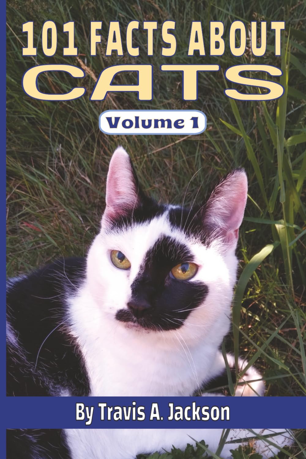 101 FACTS ABOUT CATS • Amazing Things You Didn’t Know About Felines: Fun, Surprising, & Interesting Cat Facts • For Kids, Teens, Adults, & Families • ... (Family Books: By BFI & Travis A. Jackson)