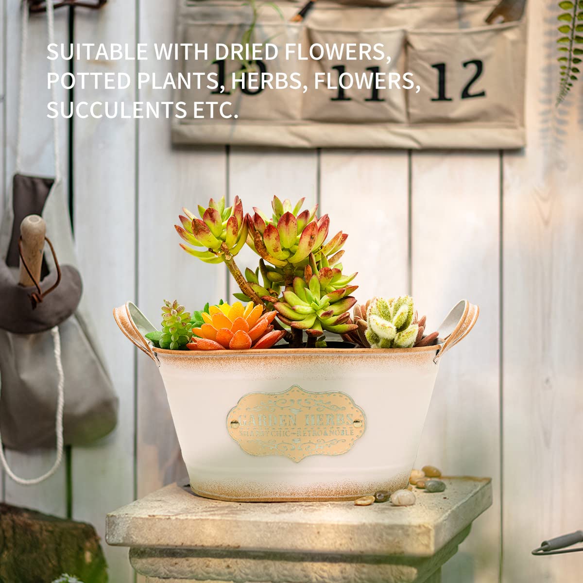 Amazon.co.jp: Ashley ZC ヴィンテージスタイル メタルプランター 素朴