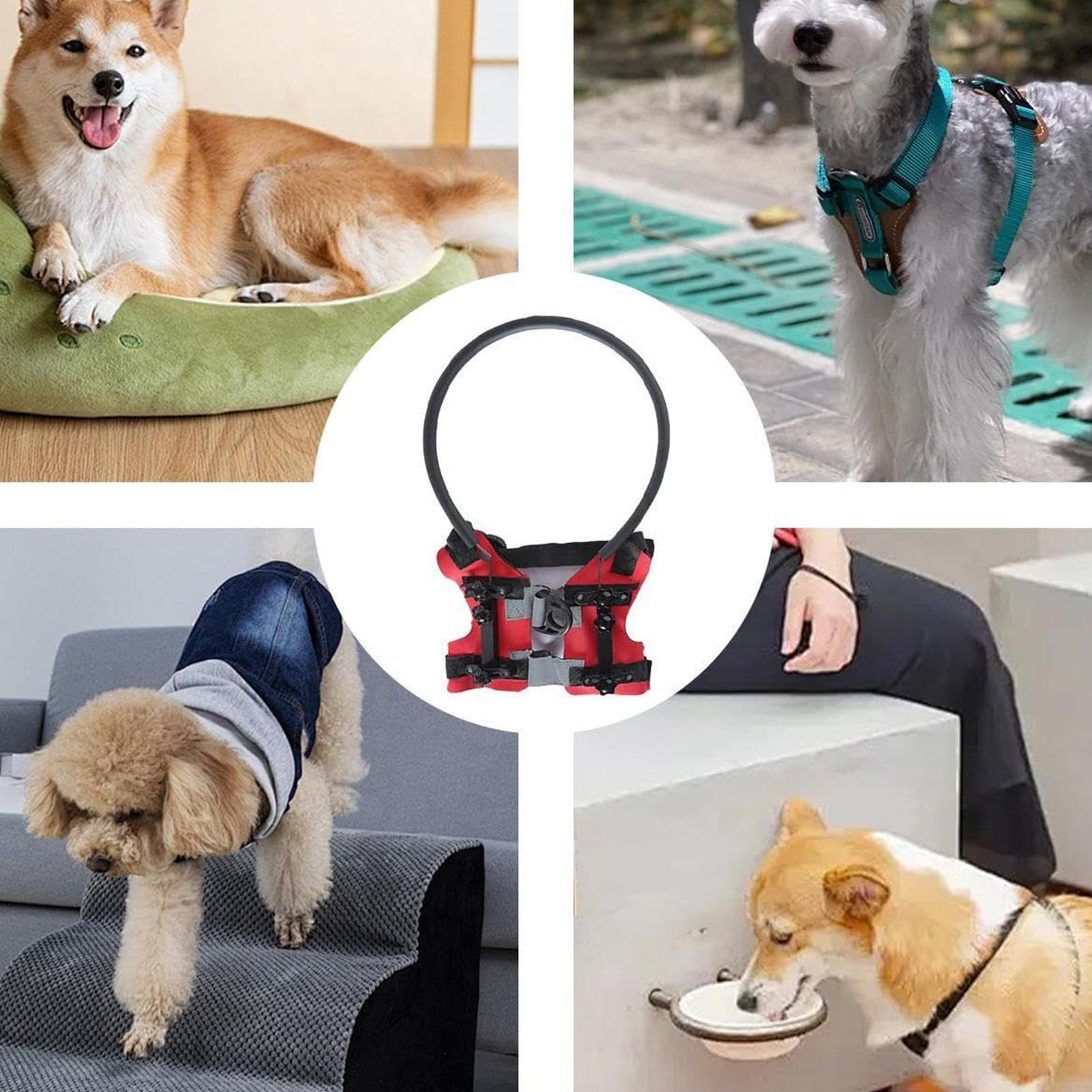 Pettorina ad anello per cani ciechi, per cani non vedenti, collare di sicurezza con equipaggiamento protettivo regolabile, per navigazione al chiuso, passeggiate all'aperto o momenti di