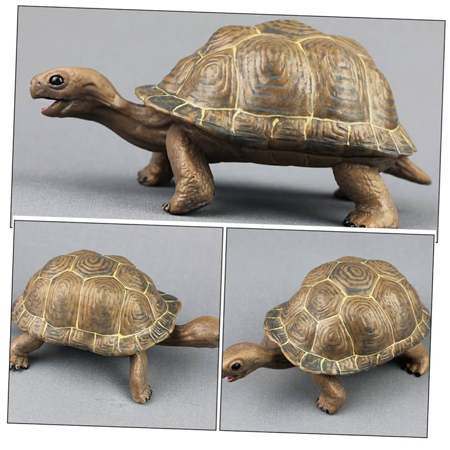 Amazon.co.jp: EXCEART 2個リアルなウミガメ 陸ガメ模型 知育