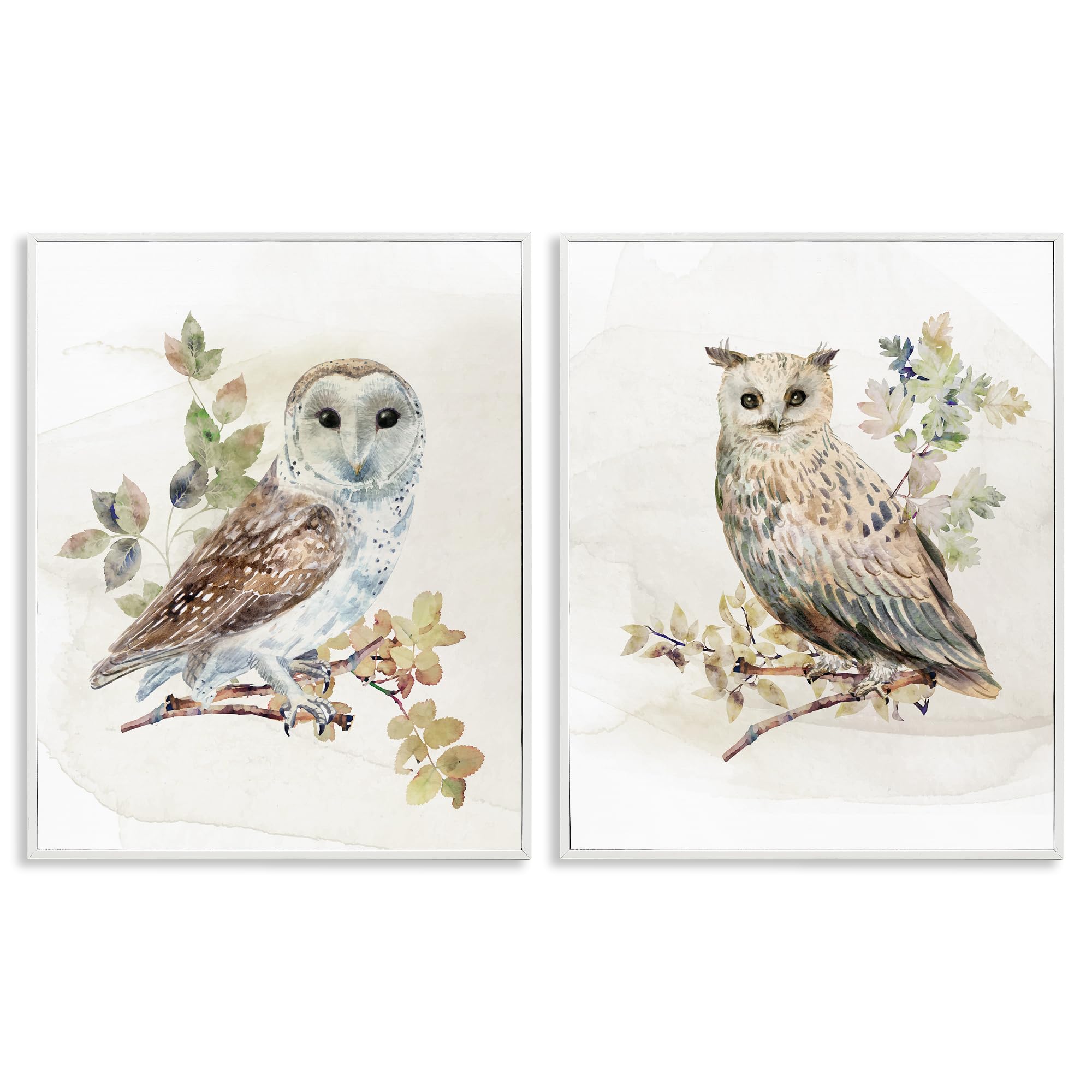 Stupell Industries 'Owls Perched in Foliage', 2pc Framed Giclee Art Set 2, White, 24 x 30 Inches, Easy to Hang and Sturdy, Made in USA, by CAD Designs