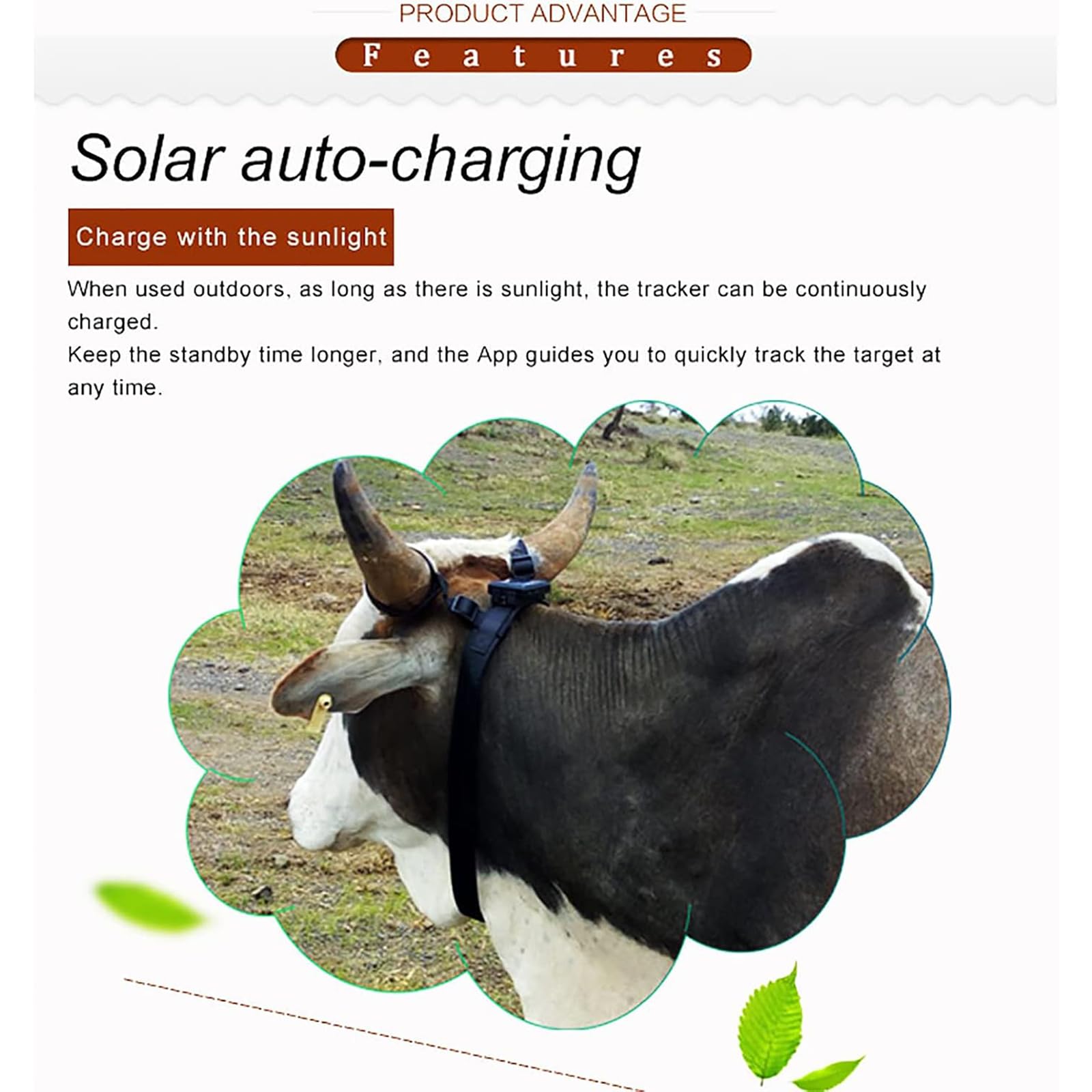 Localizzatore Animali Solare, Mini Localizzatore Animali Luce LED, Riproduzione Traccia/precisione Posizionamento GPS: 5-15 M/precisione Posizionamento WIFI: 15-100 M, Utilizzato Nella Zootecnia