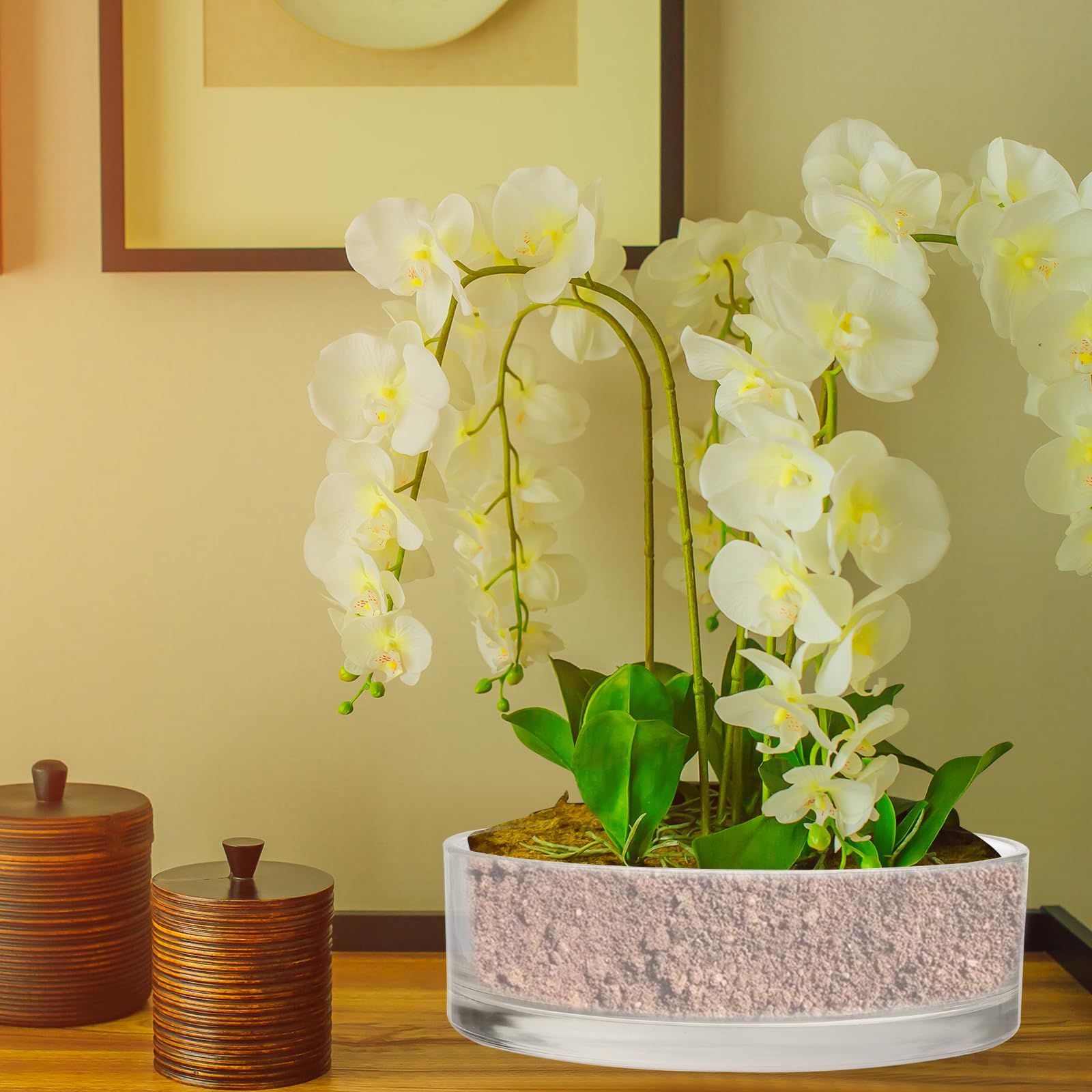 PATIKIL Vasi Cilindrici In Vetro 10x3 Pollici, Contenitore Per Piante E Terrario Trasparente Con Fondo Rinforzato Per Centrotavola Floreali Decorativi Decorazione Per Matrimoni Eventi