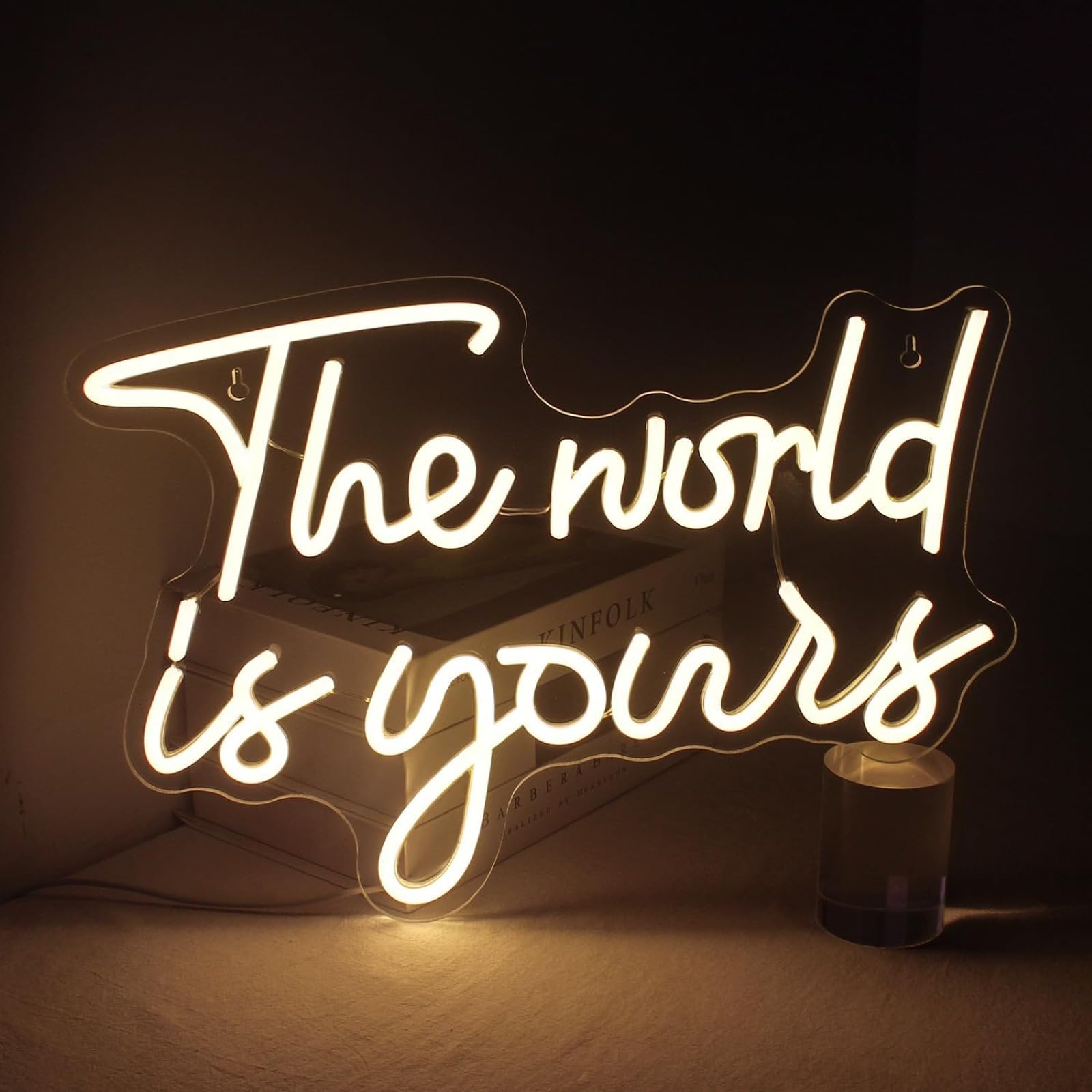 The World is yours LED Neon Sign Warm White Letters Light Up Sign Dimmable for Bedroom Living Room Wall Decor Birthday Valentine Party Decoration