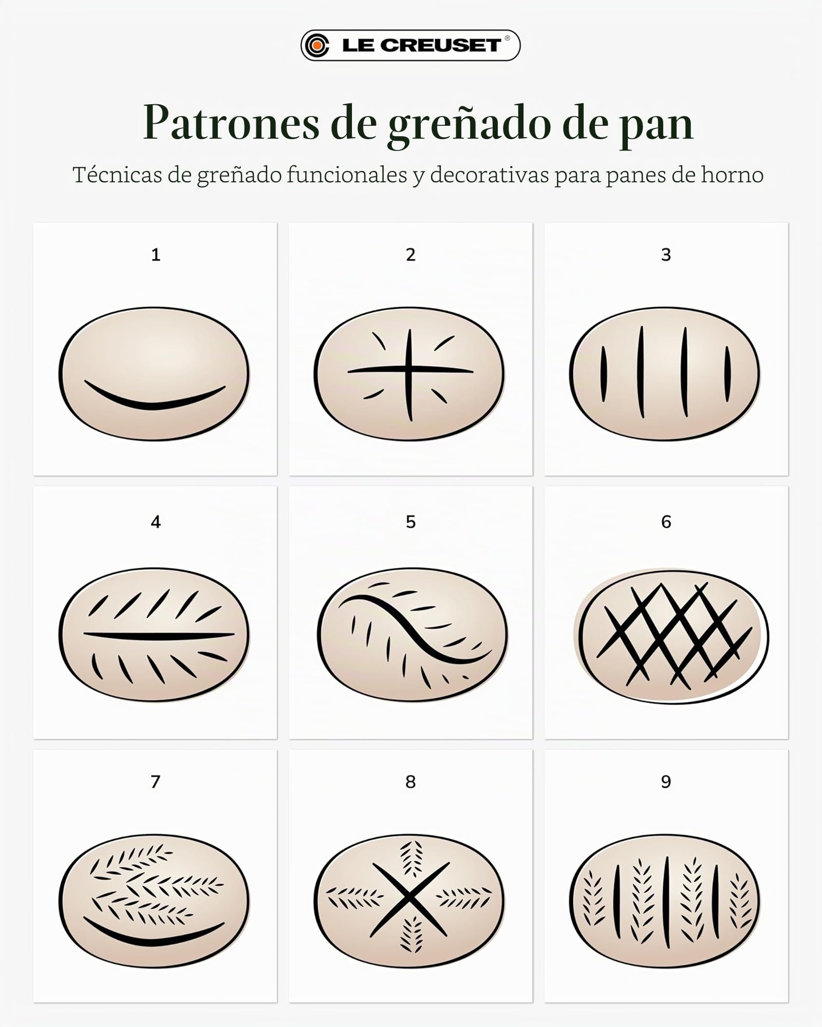Le Creuset Horno para pan de hierro fundido Signature, 24 cm, Sea Salt
