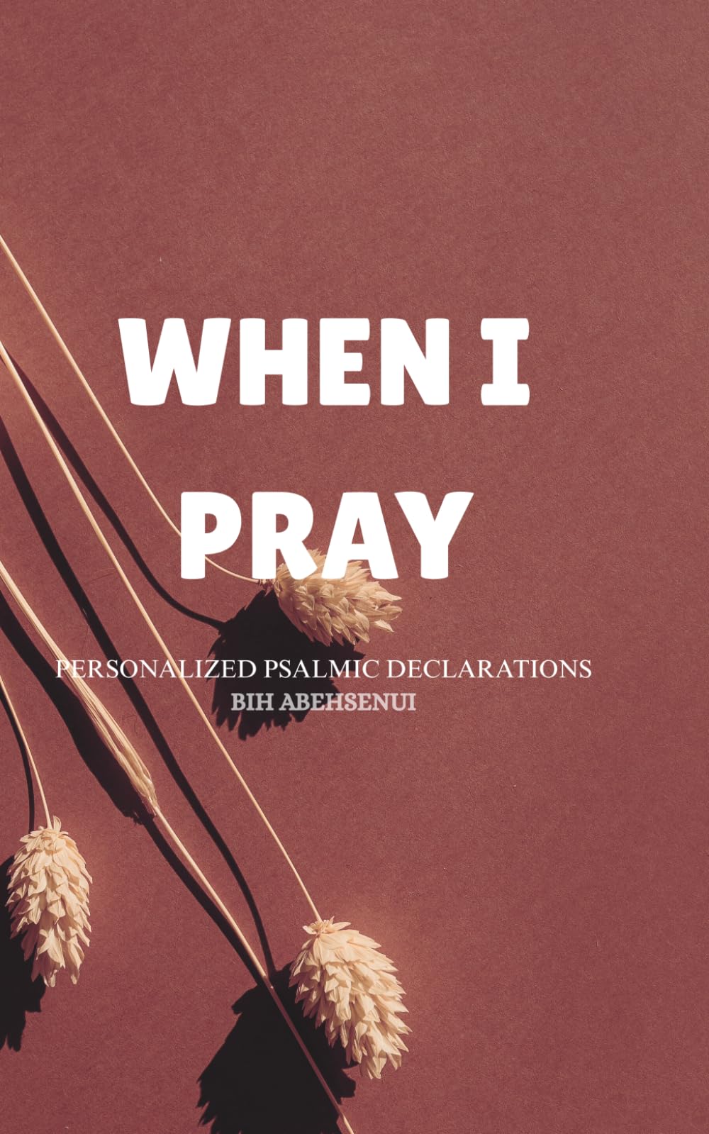 When I Pray: PERSONALIZED PSALMIC DECLARATIONS