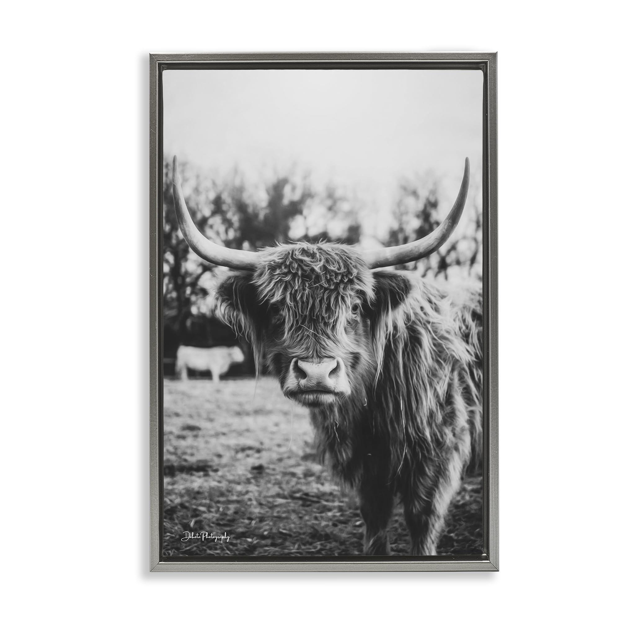 Stupell Industries 'Peering Highland Cattle', Floating Frame Canvas Art, Gray, 17 x 25 Inches, Easy to Hang and Sturdy, Made in USA, by Dakota Diener