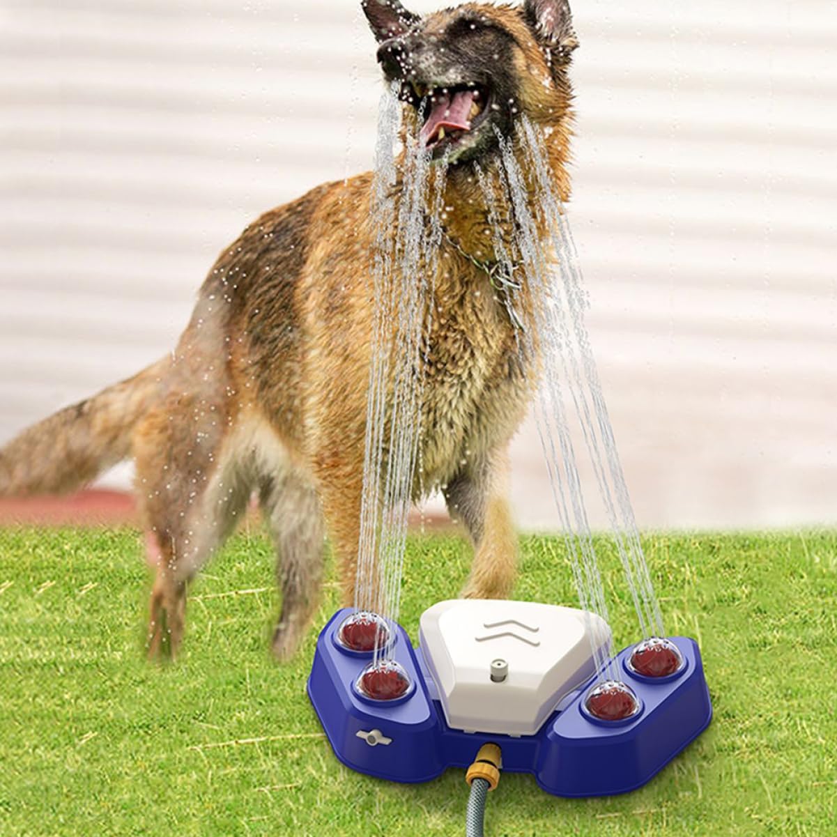 Water Fountain Automatic Dog Water Dispenser Pet Drinking Fountain for Dogs Sprinkler Plaything Safe Material