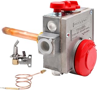 110-326 Gas Valve with Copper Probe