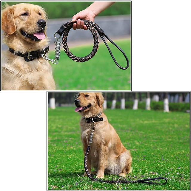 Foto 6 de 6 de Sweety Moomoo - Collar de Cuero auténtica para Perros medianos, Grandes y Extra Grandes(M, Negro)