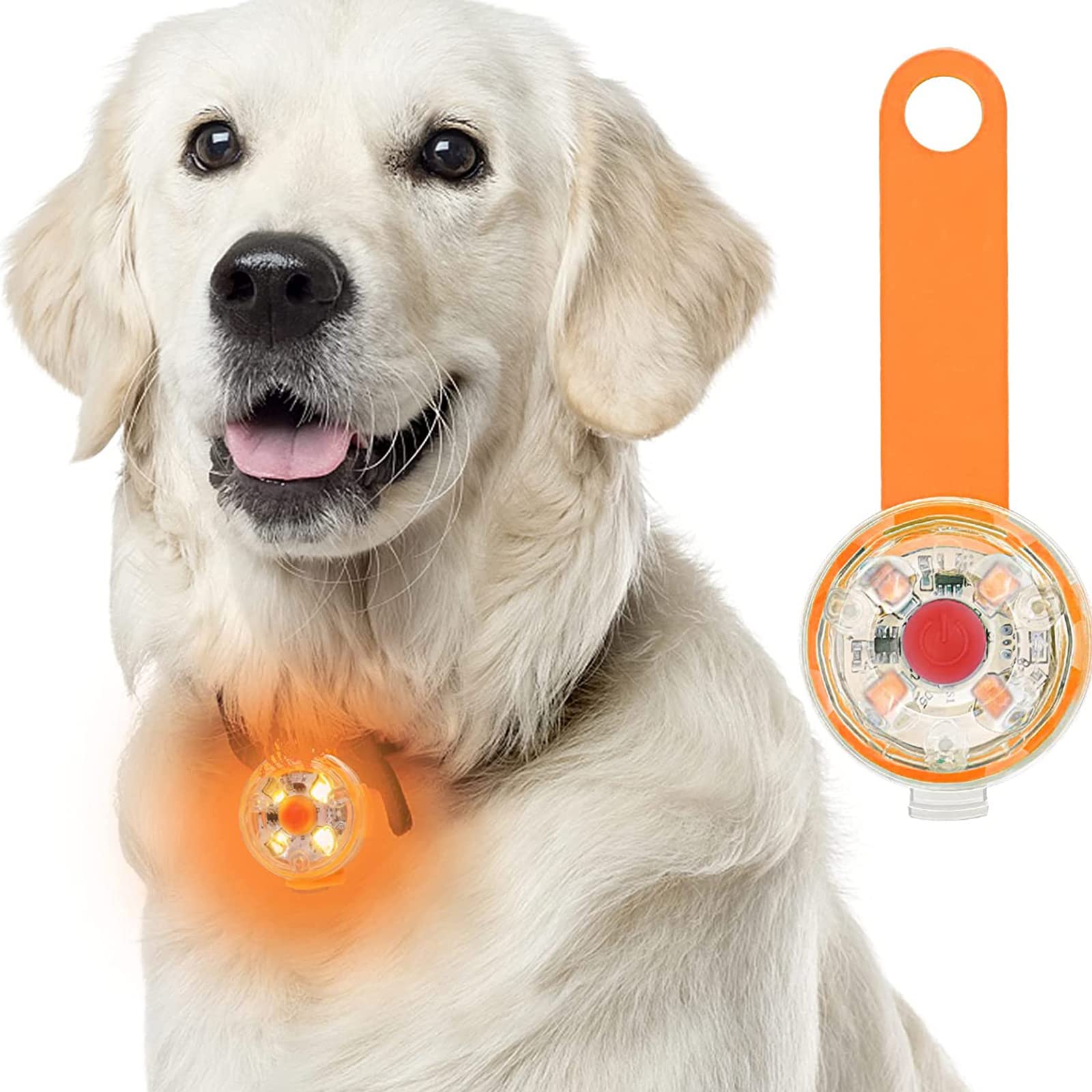 What Do You Do When A Dog Charges Your Dog