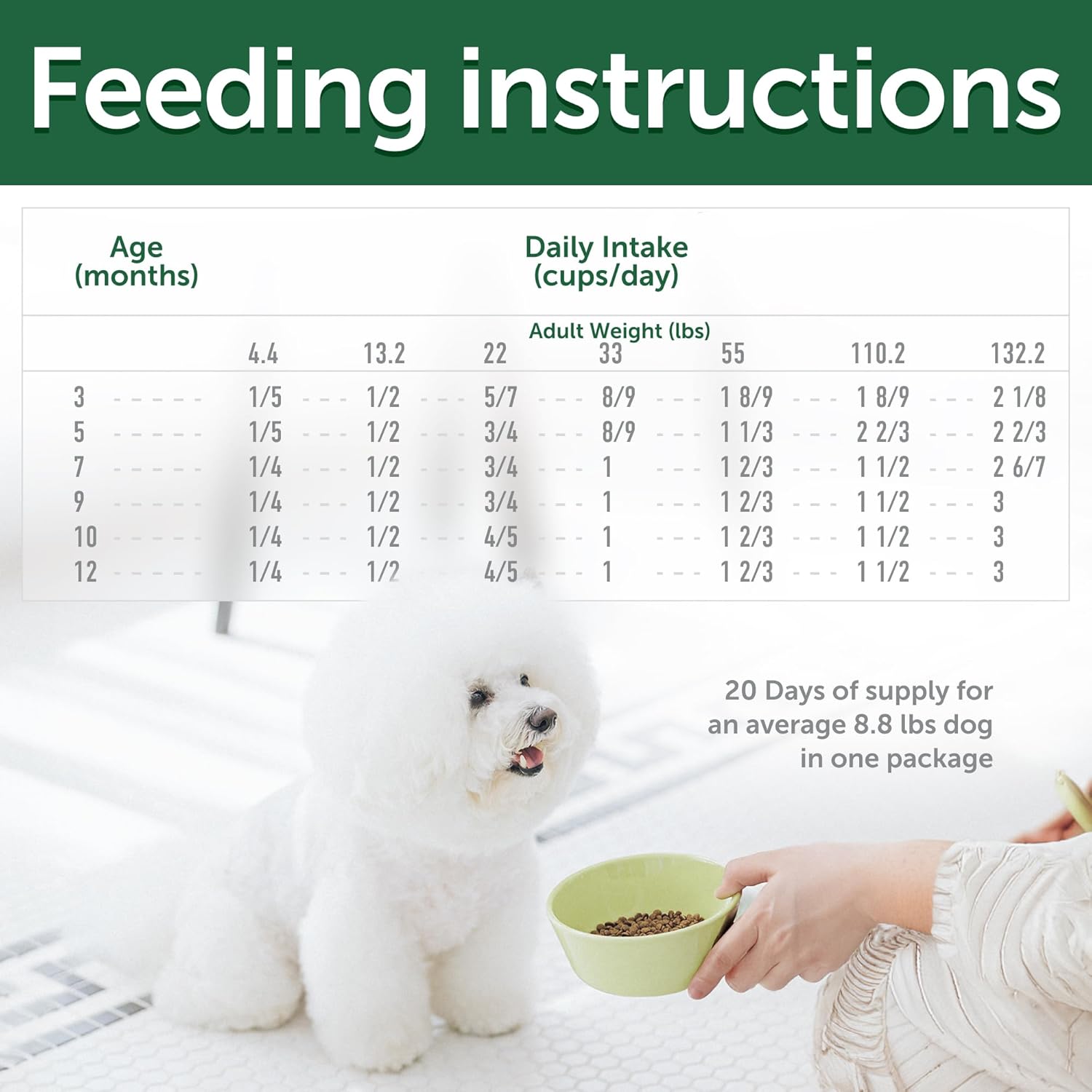 Nature's Protection High Protein Puppy Food Dry - Grain Free Dog Kibble for Small & Large Breed Dogs with Light Fur - Up to 4 Month Puppy or Mother (Superior Care - Salmon, 22 lb)