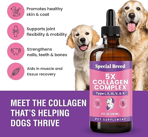 Miniatura 2 de Colágeno Premium para Perros - Soporte Líquido para Articulaciones, Piel, Pelaje, Hueso, Sistema Inmunológico y CADERAS - Suplemento de Colágeno -