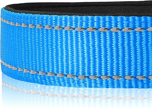Vista 32 de Joytale - Collar reflectante para perro, collar de nailon transpirable con acolchado de neopreno suave para mascotas, ajustable para perros verde