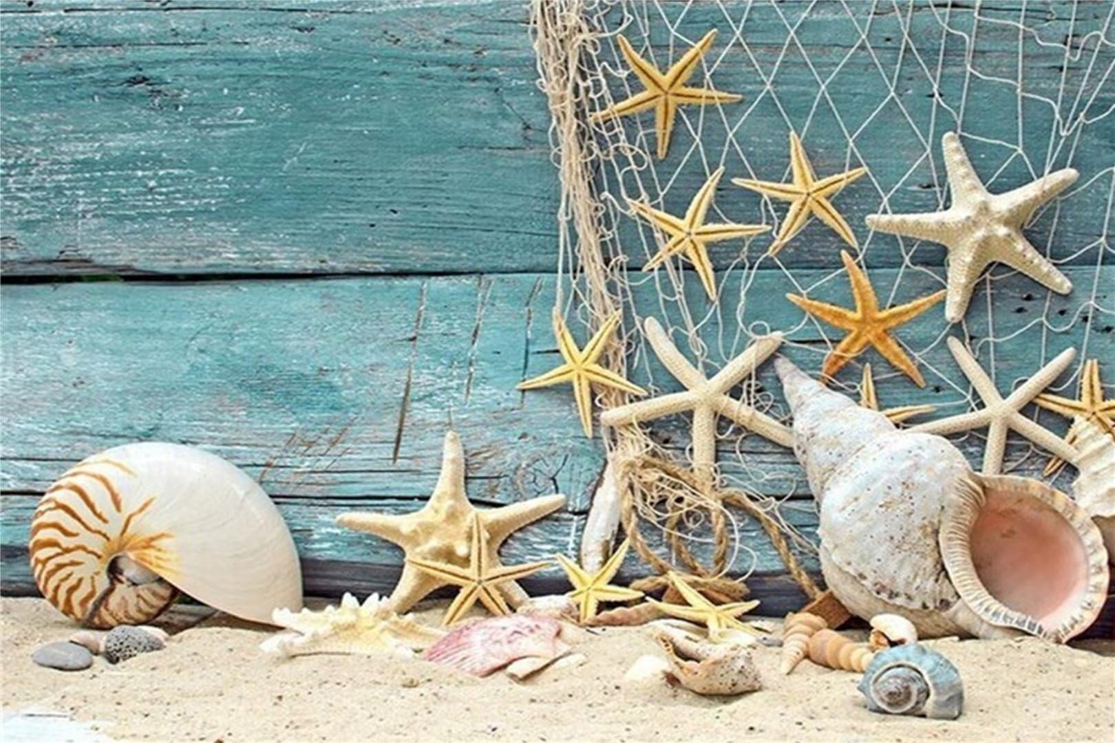 5D Diamond Painting Kit Completo Drill,Conchiglia di stelle marine da spiaggia DIY Pittura Diamante di Cristallo del Diamante Completo Punto Croce Ricamo Arts per Decor Casa Pareti 40x50cm/16x20in