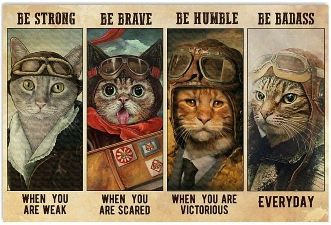 Vintage Cat Pilot Be Strong When You are Weak Be Brave When You are Scared Poste Decor Metal Sign Tin Sign Decor Poster Wall Art Poster 8X12 Inches