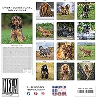 Vista 111 de Razas de Perros 2017