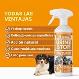 Ver la foto 6