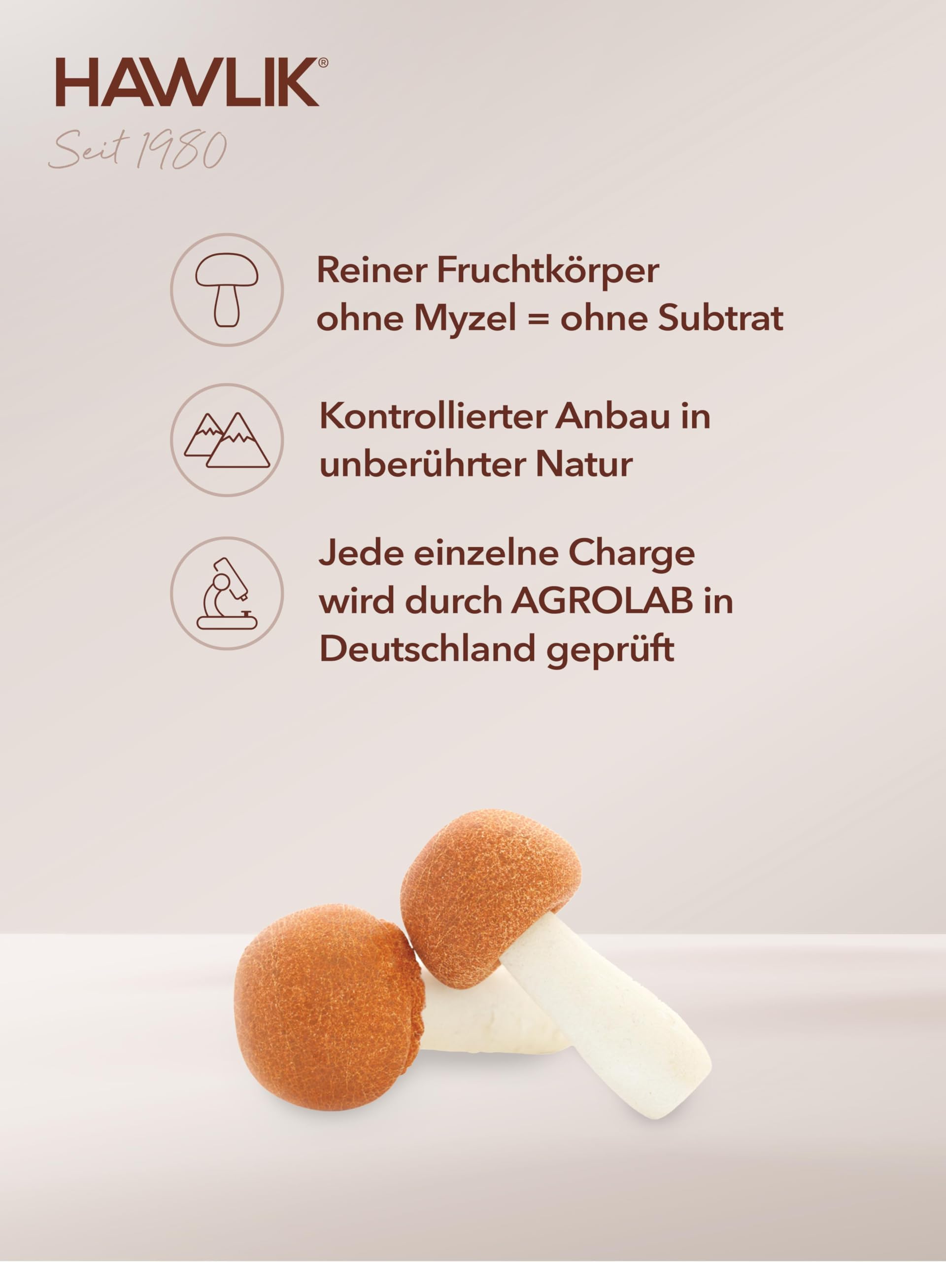 HAWLIK Vitalpilze Agaricus Extrakt Kapseln - 240 Kapseln - Mit Vitamin C - Natürlicher Anbau - Vegan - Zuckerrohr-Dose