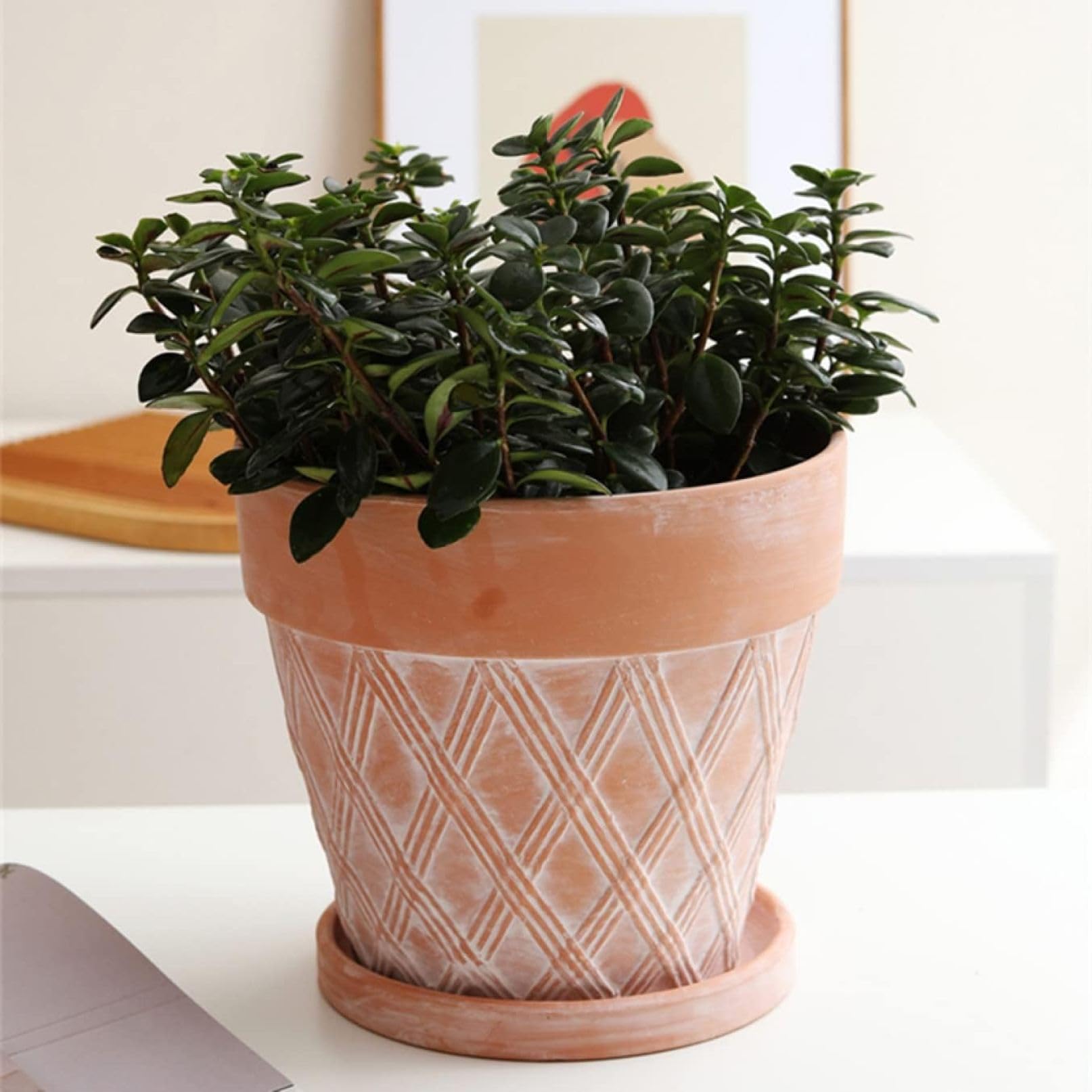 Amazon.co.jp: 北欧 おしゃれ 植木鉢 ナチュラル 素焼き 20cm トレイ