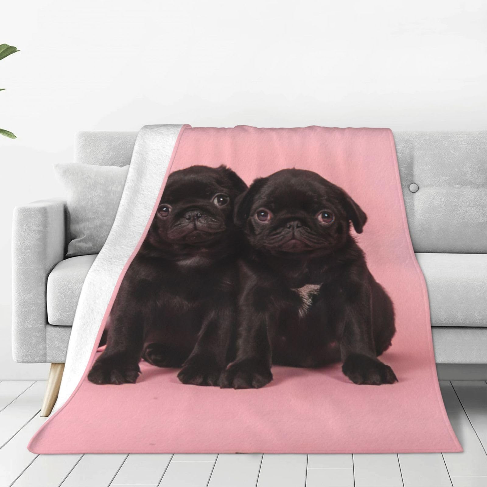 Couverture polaire carlin noir plaid chaud et doux pour lit et canapé