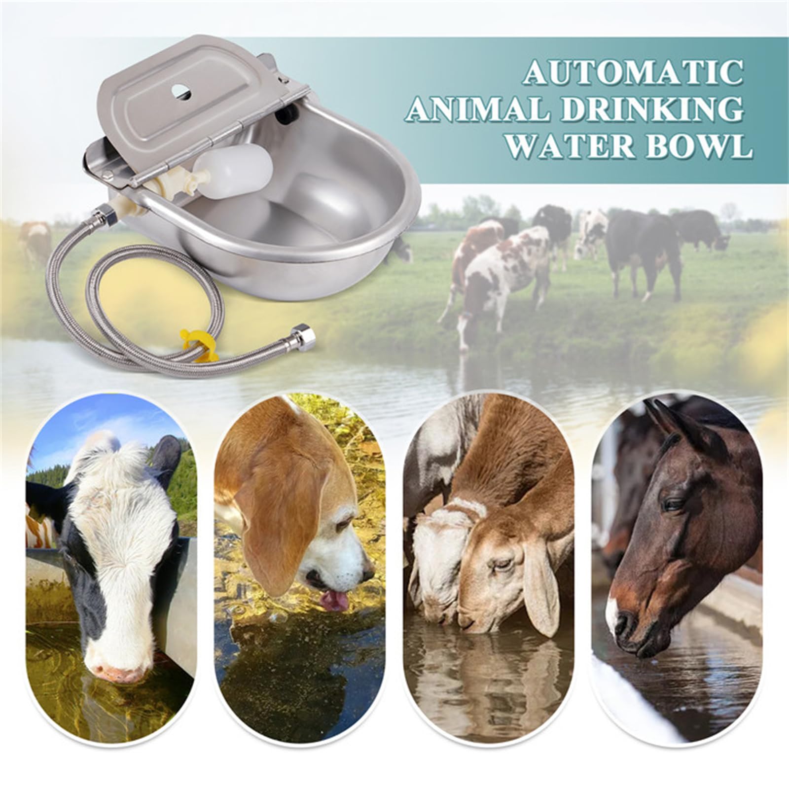 Abbeveratoio Automatico Per Cani Abbeveratoio Automatico per Bevande in Acciaio Inox con Foro di Drenaggio e Valvola a Galleggiante per Bestiame Pecore Cavalli Bovini