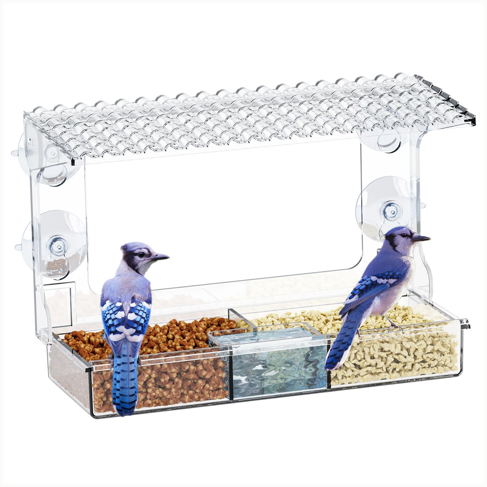 Mangiatoia per Uccelli da Finestra per Esterni, mangiatoia con Ventose, casetta di plastica Trasparente con Ventose ad Alta Resistenza, Ideale per Esterni e Giardini,A