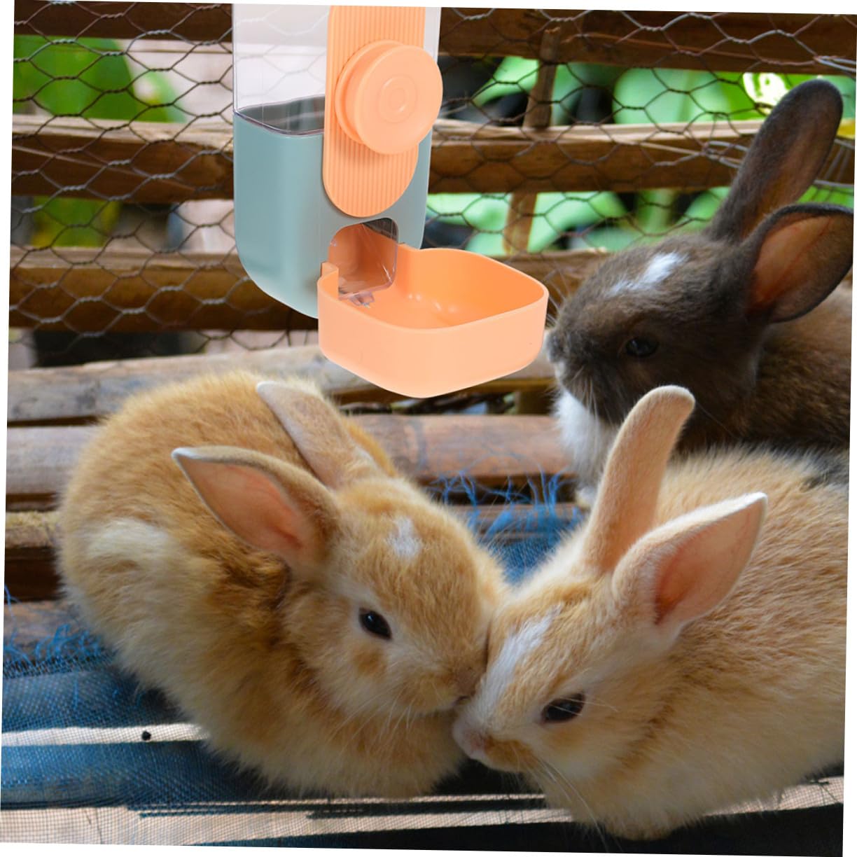 KOMBIUDA Dispenser Automatico Sospeso per Cibo e Acqua per Conigli e Cavie Capacità in Plastica Resistente Compatto e Antispill per Gabbie e Conigliere Esterne