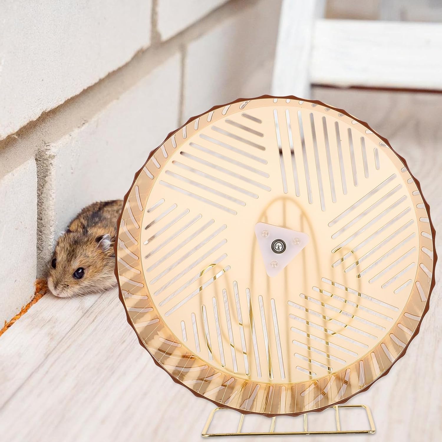 Hamster Exercise Wheel Stand Large Silent Running Wheel Compact Rat and Chinchilla Supplies for Small Pets Random Color