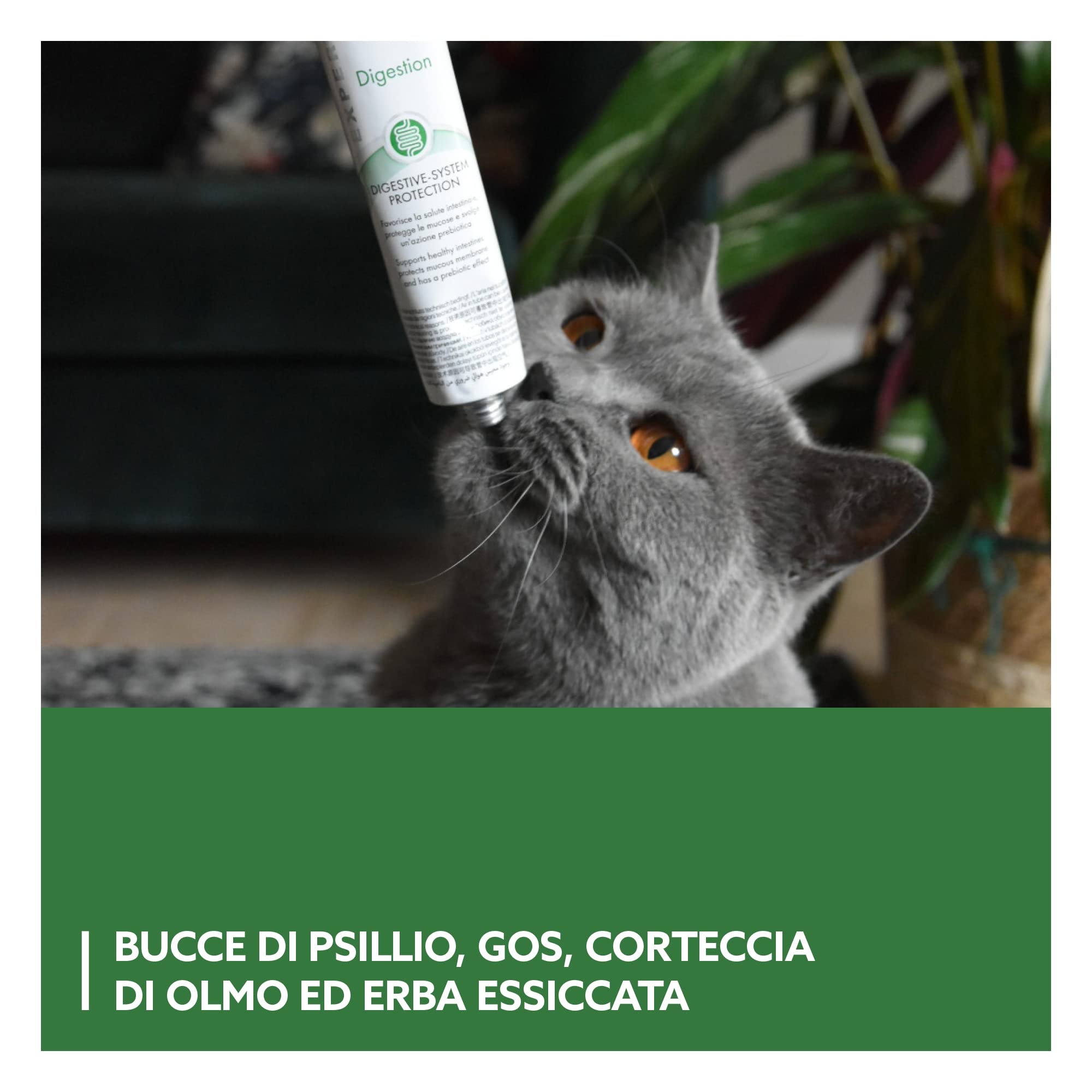 GimCat EXPERT LINE Gastro Intestinal Pasta, Snack per gatti funzionale che favorisce la digestione e l’equilibrio della flora intestinale, 1 tubetto, 1 x 50 g