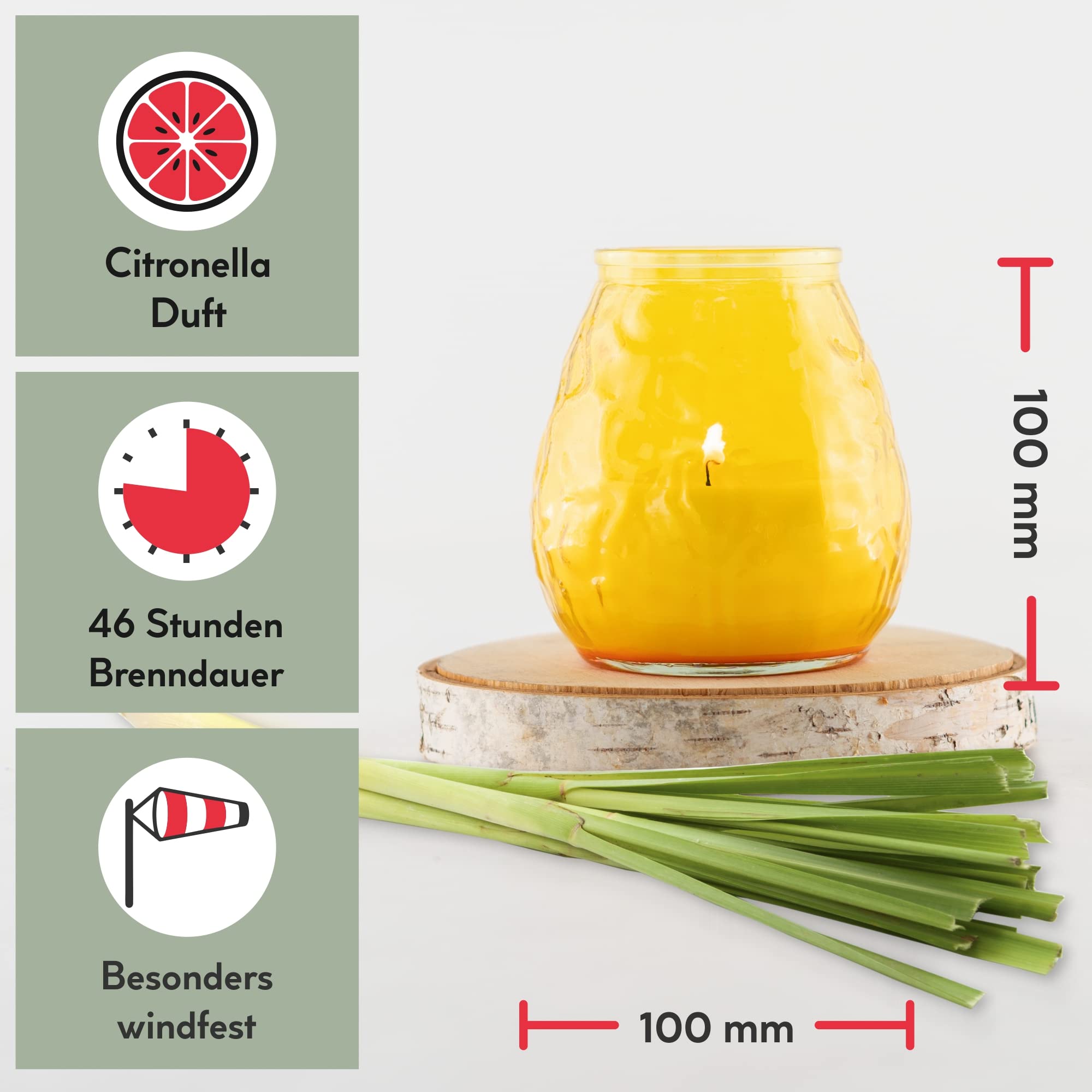 HOFER 6 luci da bistrò, citronella, portacandele per esterni, di alta qualità, in vetro con profumo di citronella, per feste in giardino, decorazione per esterni