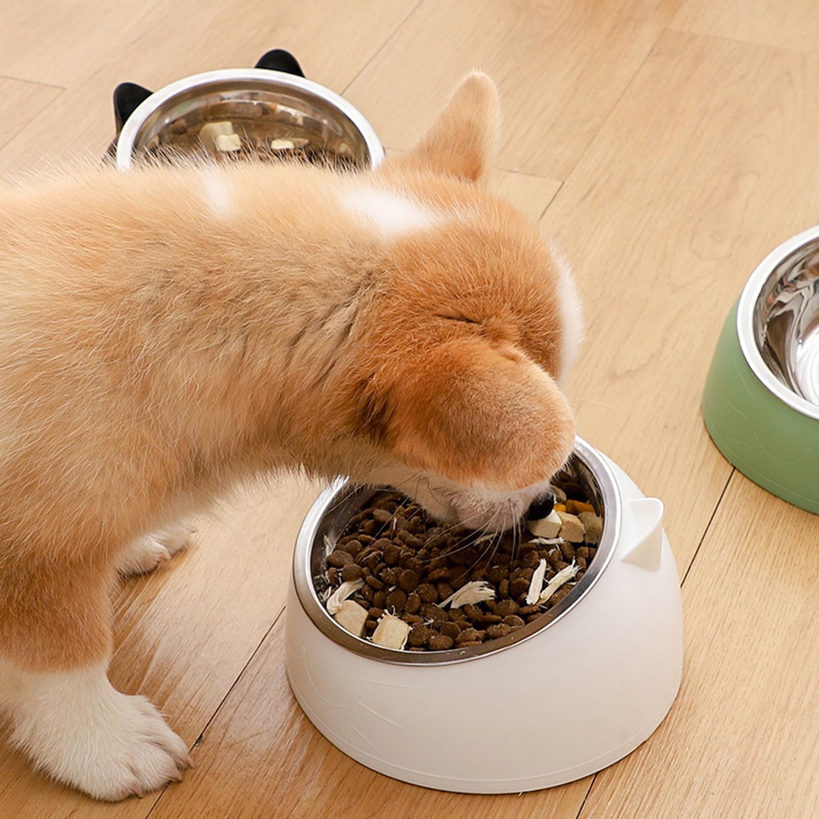 Ciotola per Gatti e Cani in Acciaio Inox - Set di 3 Ciotole Rialzate Inclinate di 15°, 400 ml, Rimovibili per Alimentazione e Acqua