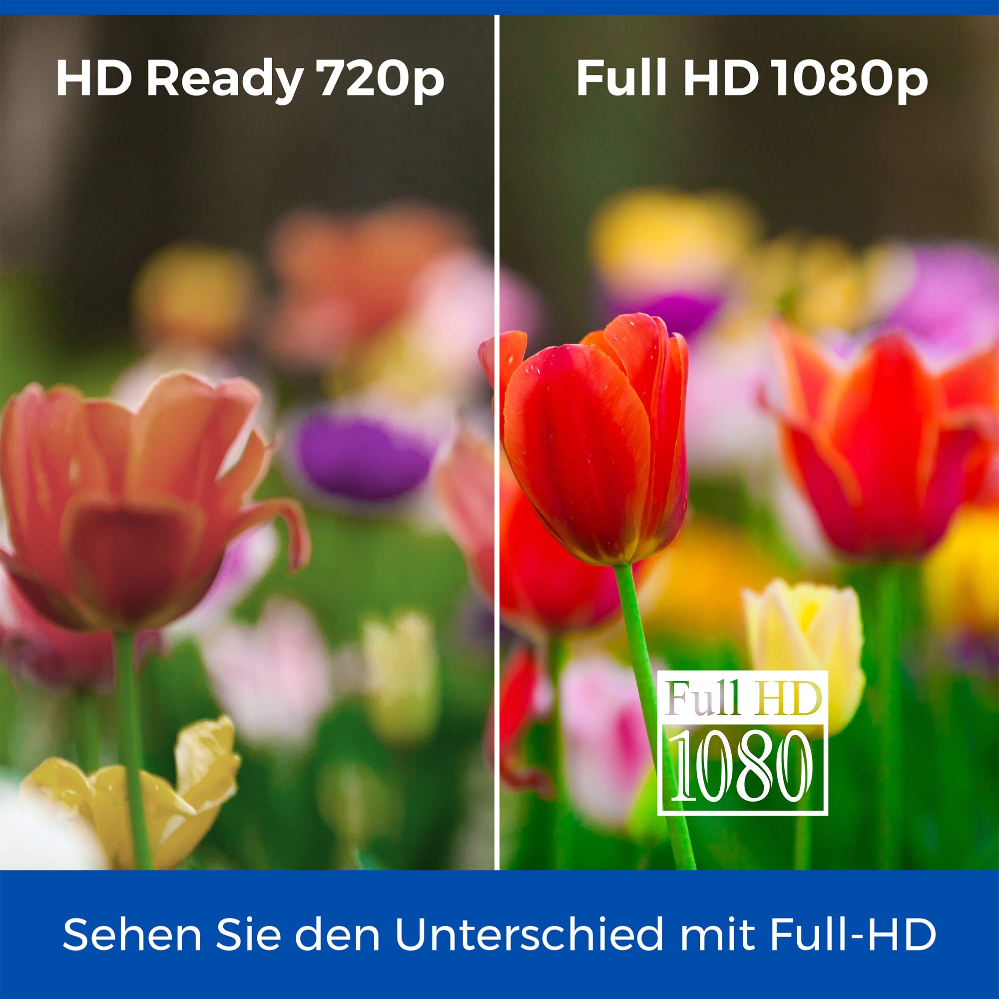 Cello C1624F-12V 16" Zoll Full HD LED TV Integrierter DVD-Player Triple Tuner DVB-T/T2-C-S/S2 HDMI USB 12V KFZ Camping Reise Adapter, Pitch Perfect Sound für EIN einzigartiges Klangerlebnis (2025)