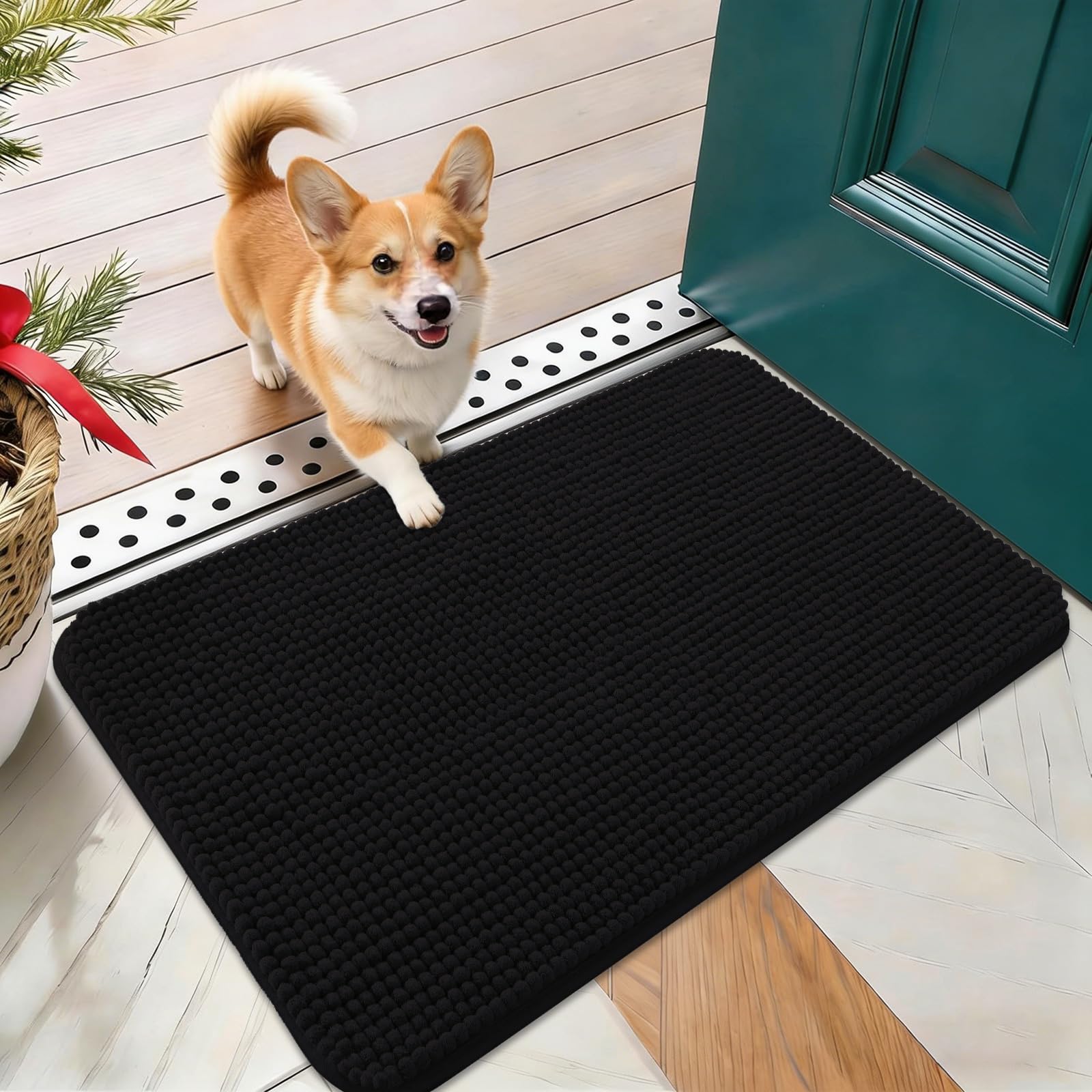 OLANLY Dog Door Mat for Muddy Paws 24x16, Absorbent Chenille Mud Doormat
