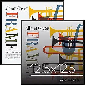Americanflat Moldura de álbum de 12,5 x 12,5 com acrílico - Conjunto de 2 - Moldura de álbum de disco para capas de vinil LP - Coleção de retratos do Brooklyn