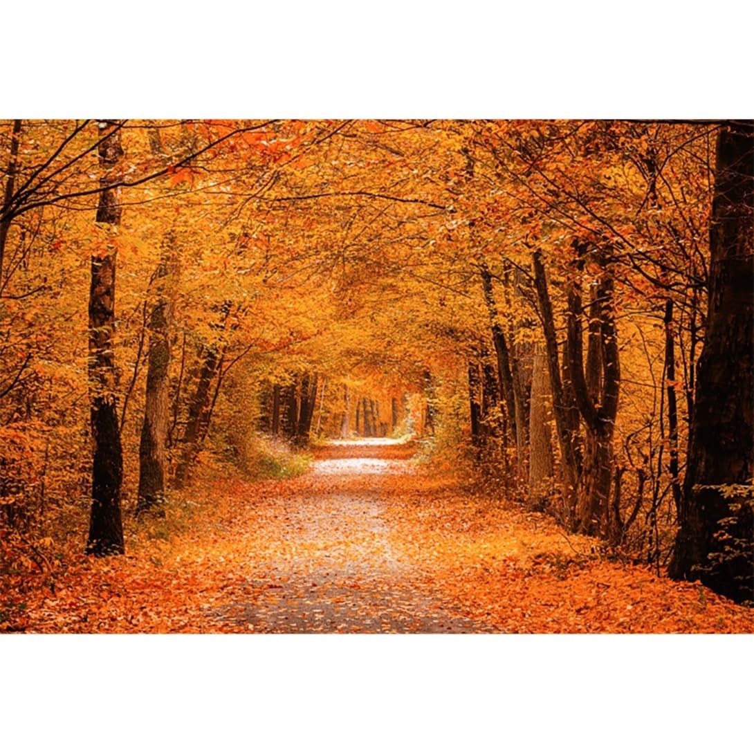 Vie Savaran 10x8ft Fall Backdrop Autumn Maple Forest Leaves Deciduous Pathway Natural Landscape Friendsgiving Photography Background Thanksgiving