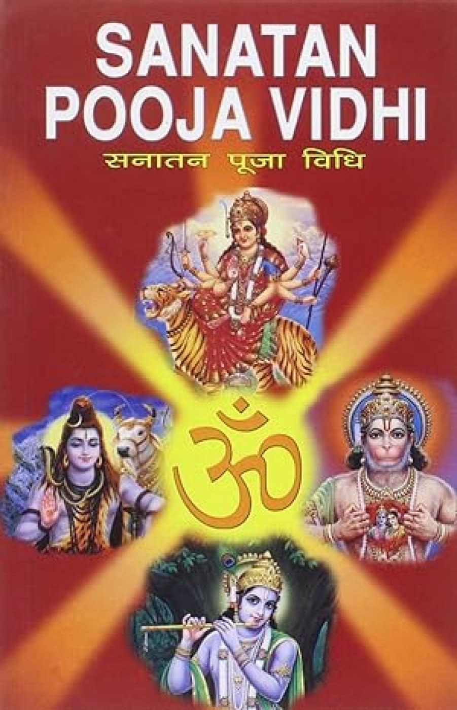 Sanatan Pooja Vidhi Paperback – 1 Jun. 2005