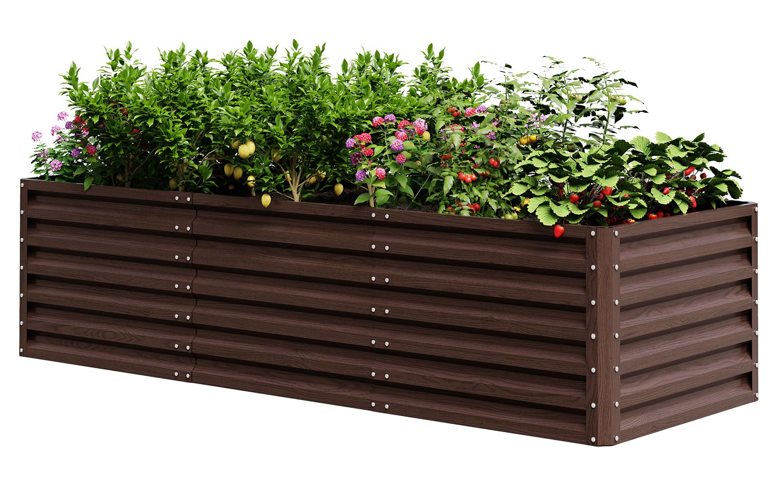 UDPATIO