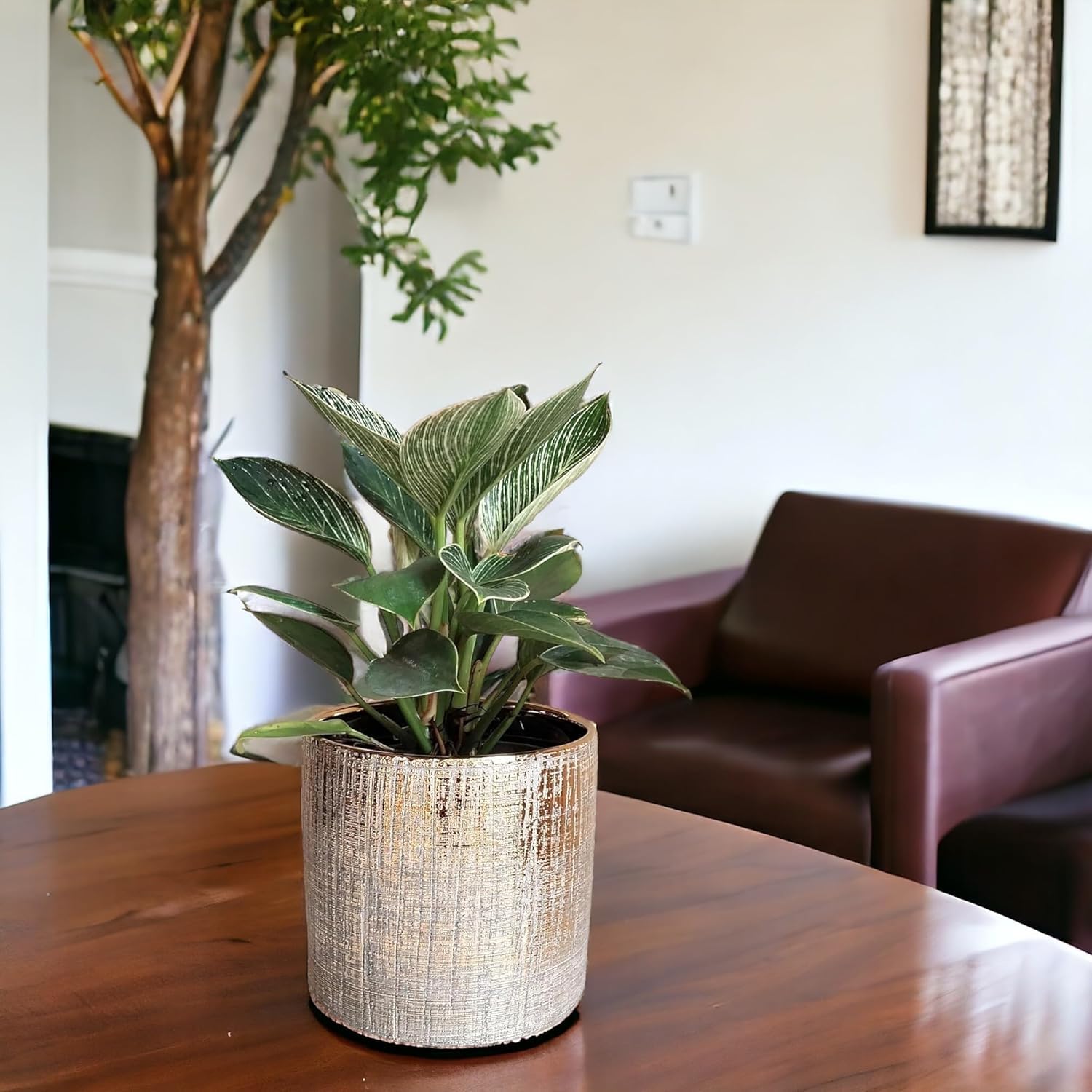 Round Ceramic Flower Pot - Modern & Boho Decor -3 Round Ceramic Flower Pot - Modern & Boho Decor -3