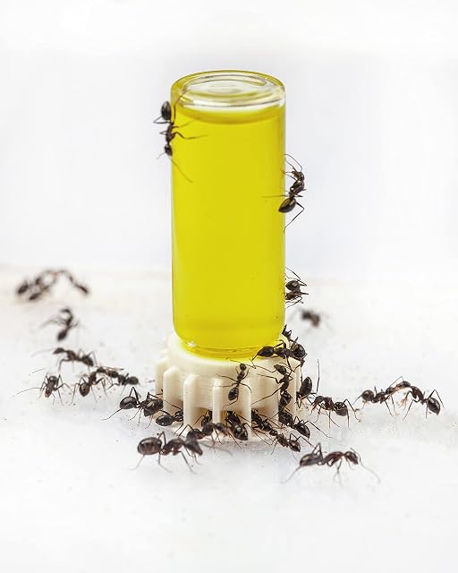 Foto 2 de 2 de AntHouse.es - Súper Alimento para Hormigas Néctar Alimenticio Amarillo 50 ml