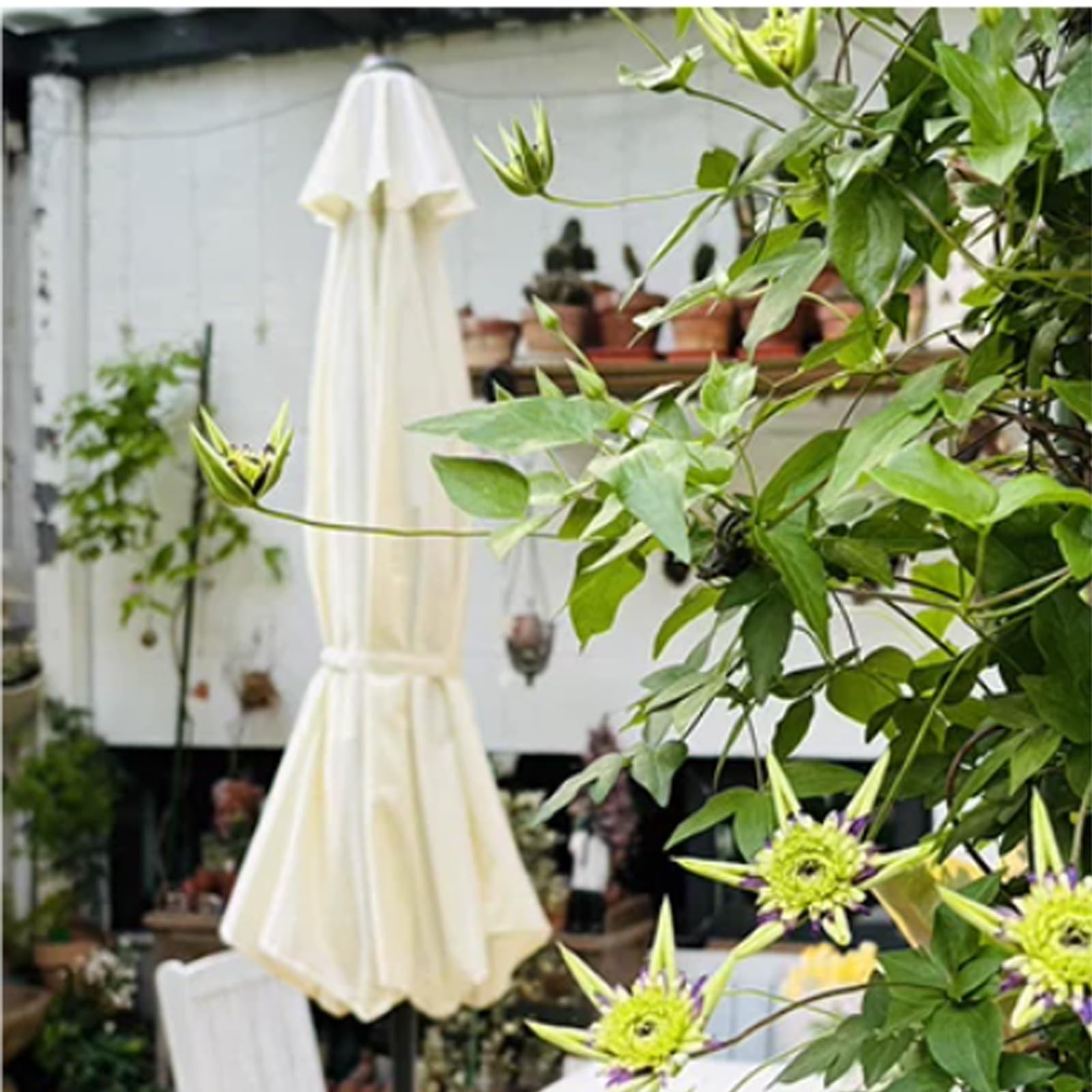 Parasol ogrodowy na stół na zewnątrz, parasol słoneczny, duży na zewnątrz, korba i solidne żebra, trwały, lekki, do ogrodu, na podwórko, przy basenie
