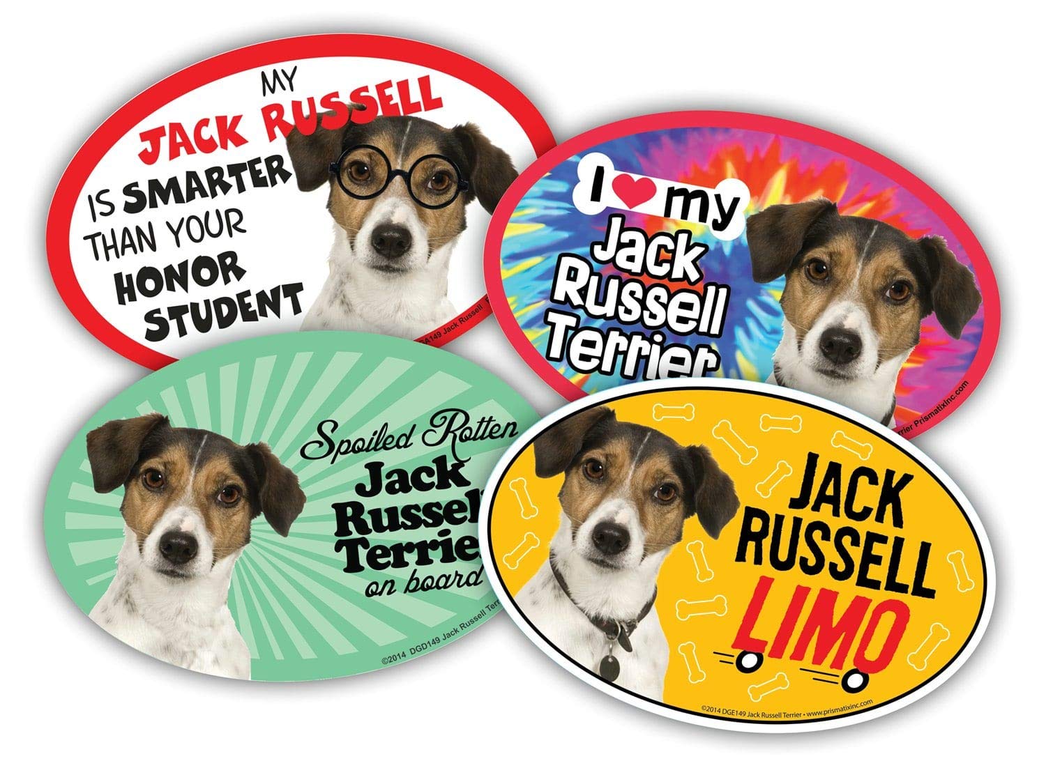 Are Jack Russell Terriers Good With Cats